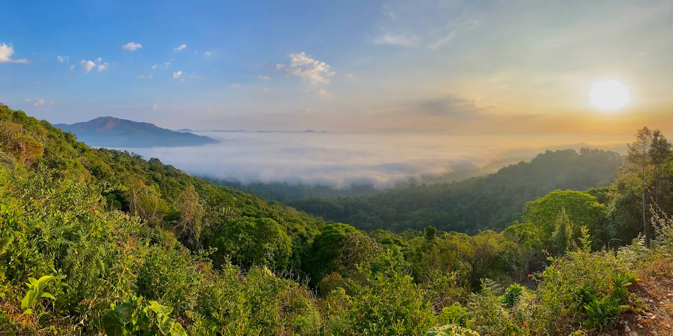 Tadiandamol Trek trek