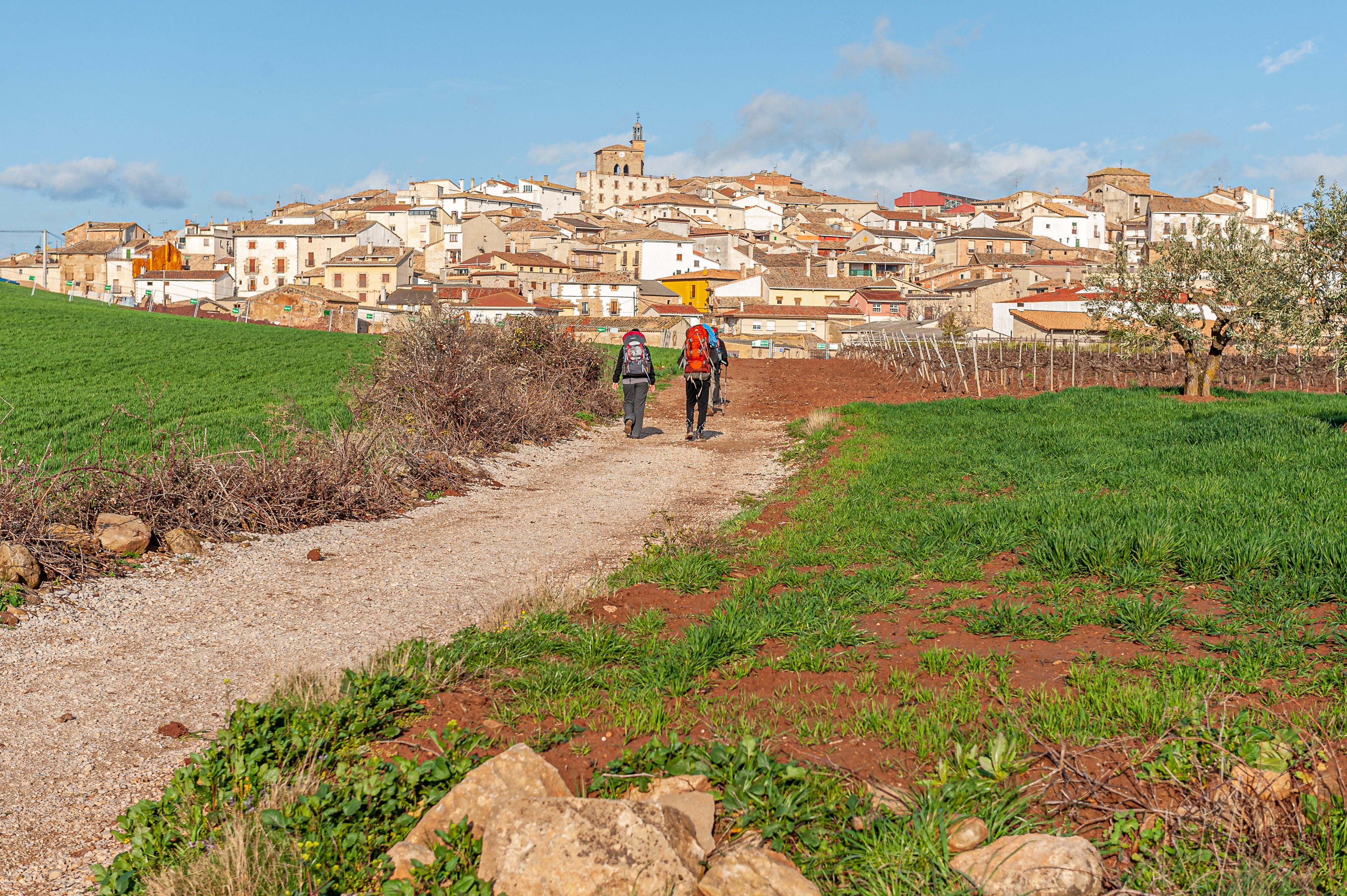 Camino de Santiago (Francés) trek view 3