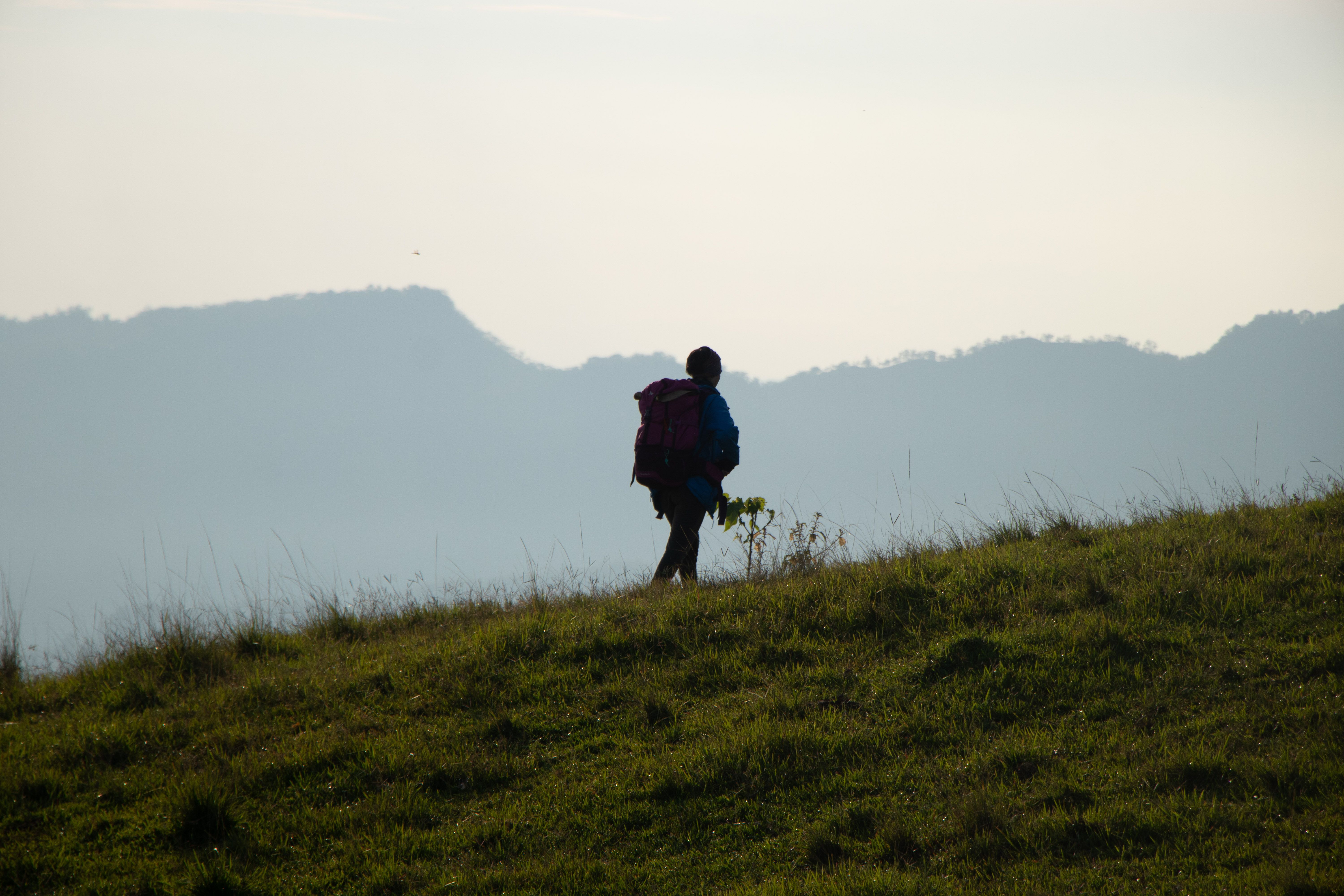 Mullayanagiri Trek trek view 3