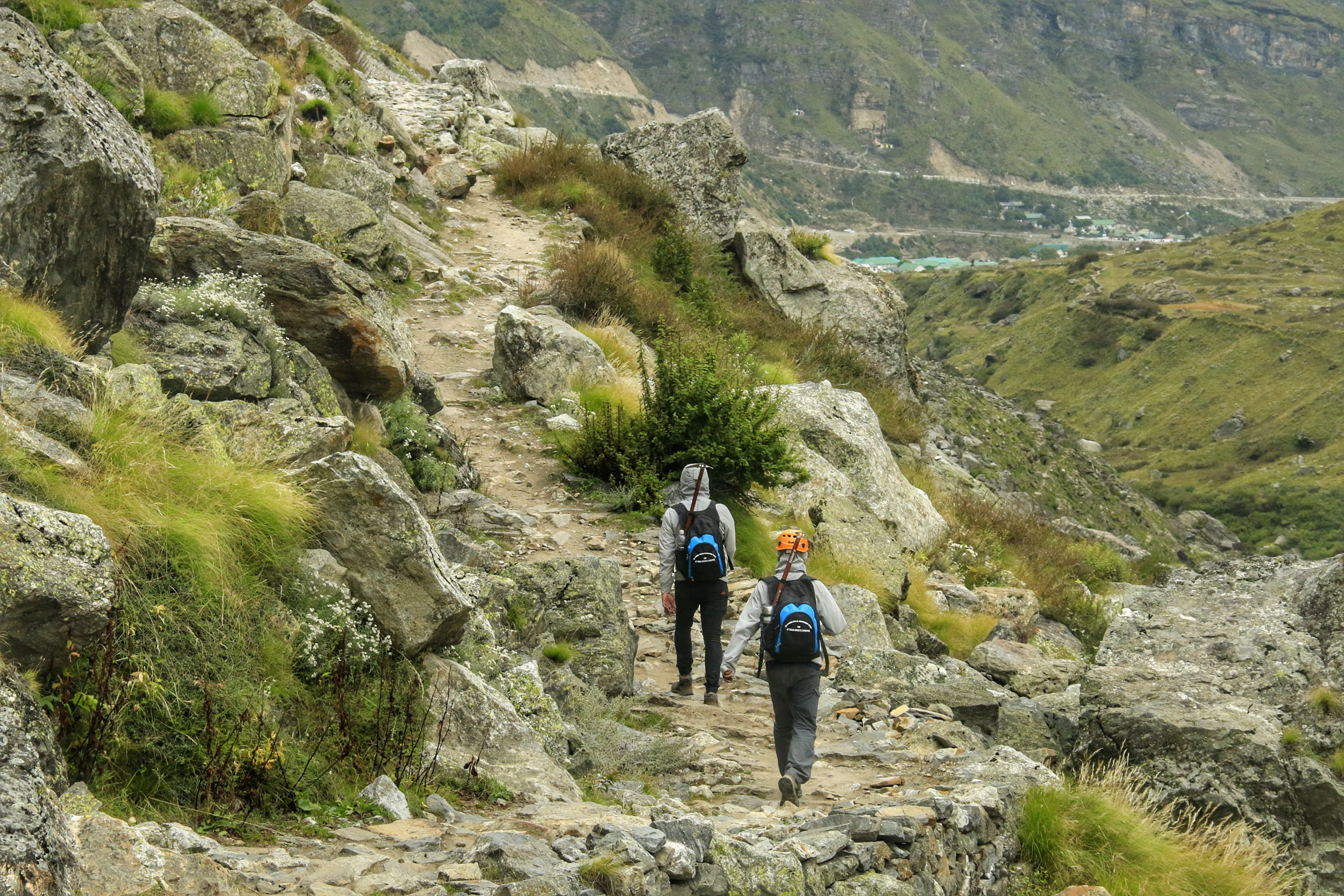 Valley of Flowers Trek trek view 2