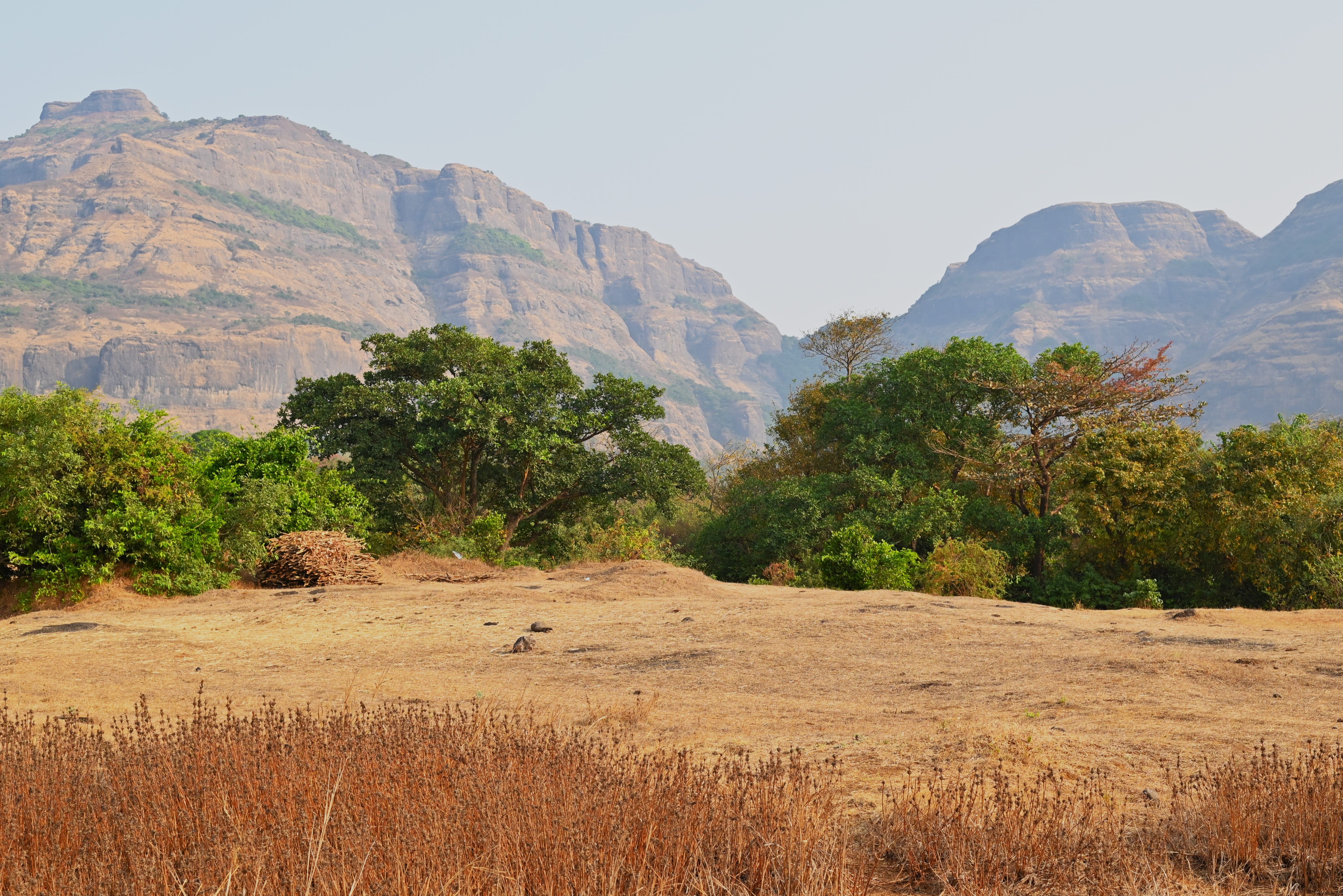 Sandhan Valley Trek trek view 3