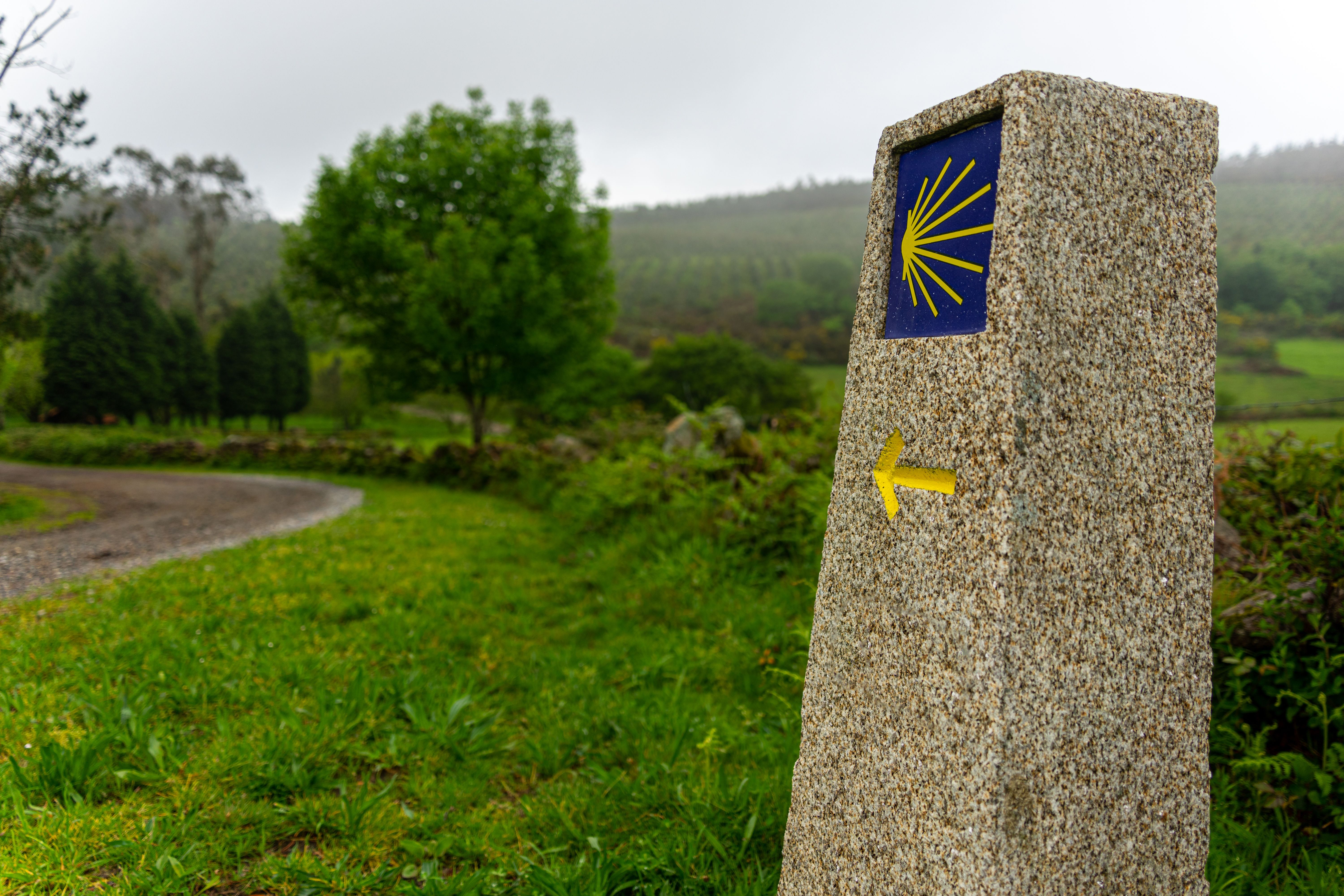 Camino de Santiago (Francés) trek — Navarra to Galicia, Spain, Spain