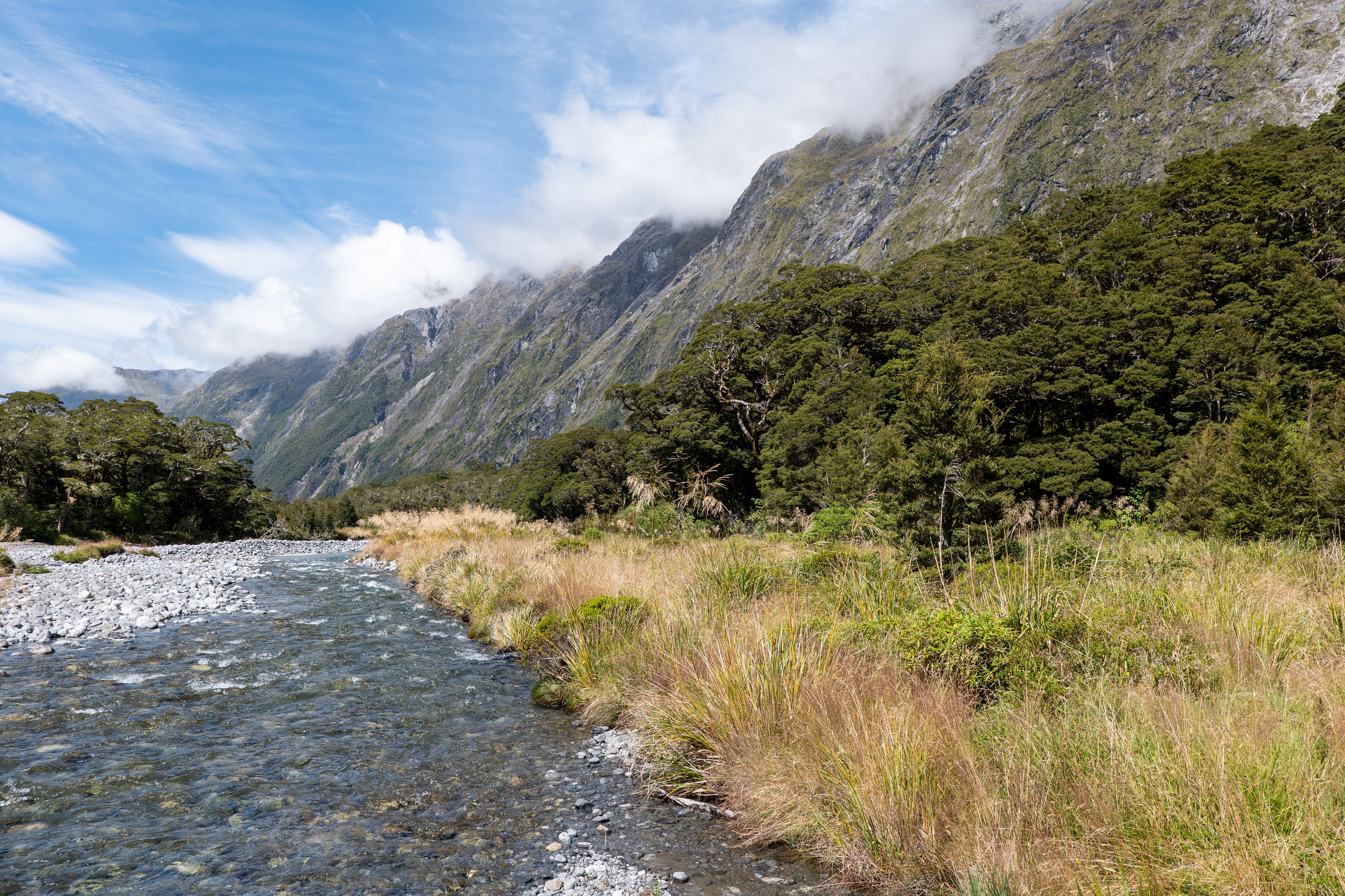Milford Track trek — Fiordland, New Zealand, New Zealand