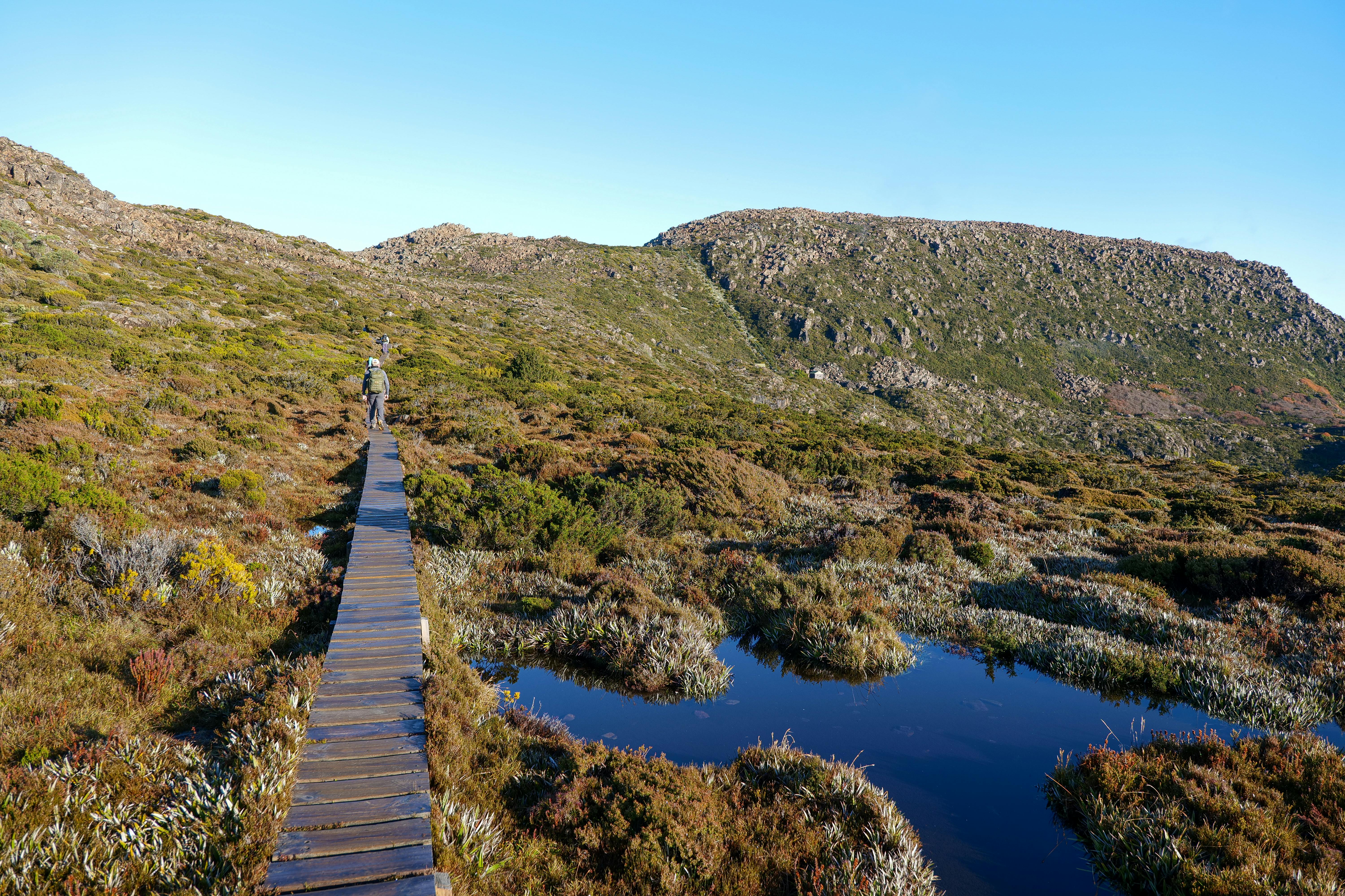 Overland Track trek view 3