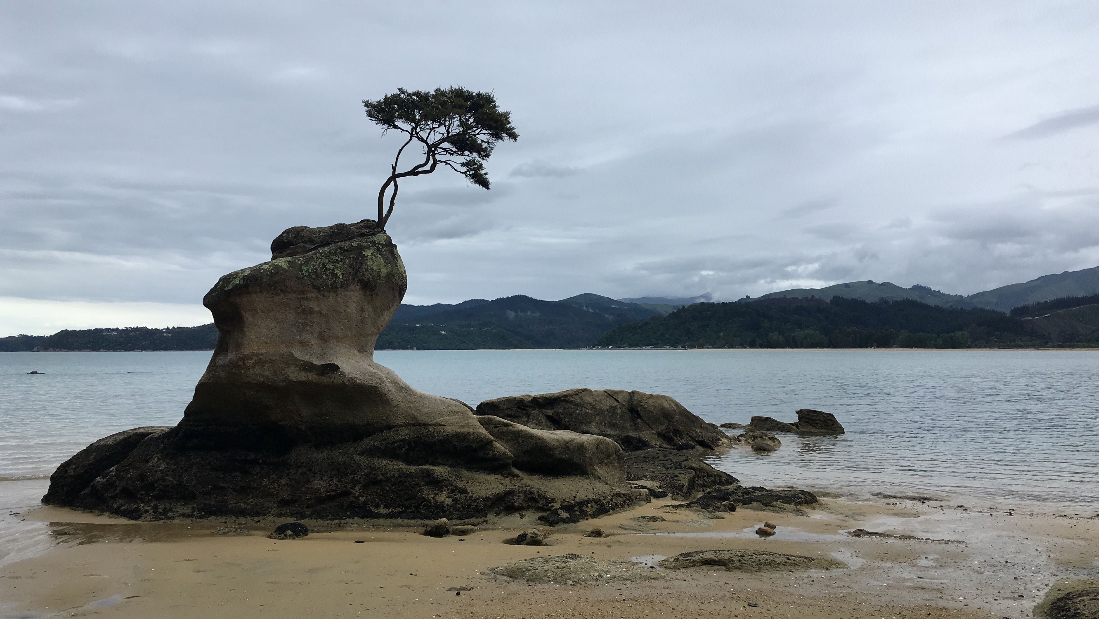 Abel Tasman Coastal Track trek — Nelson, New Zealand, New Zealand