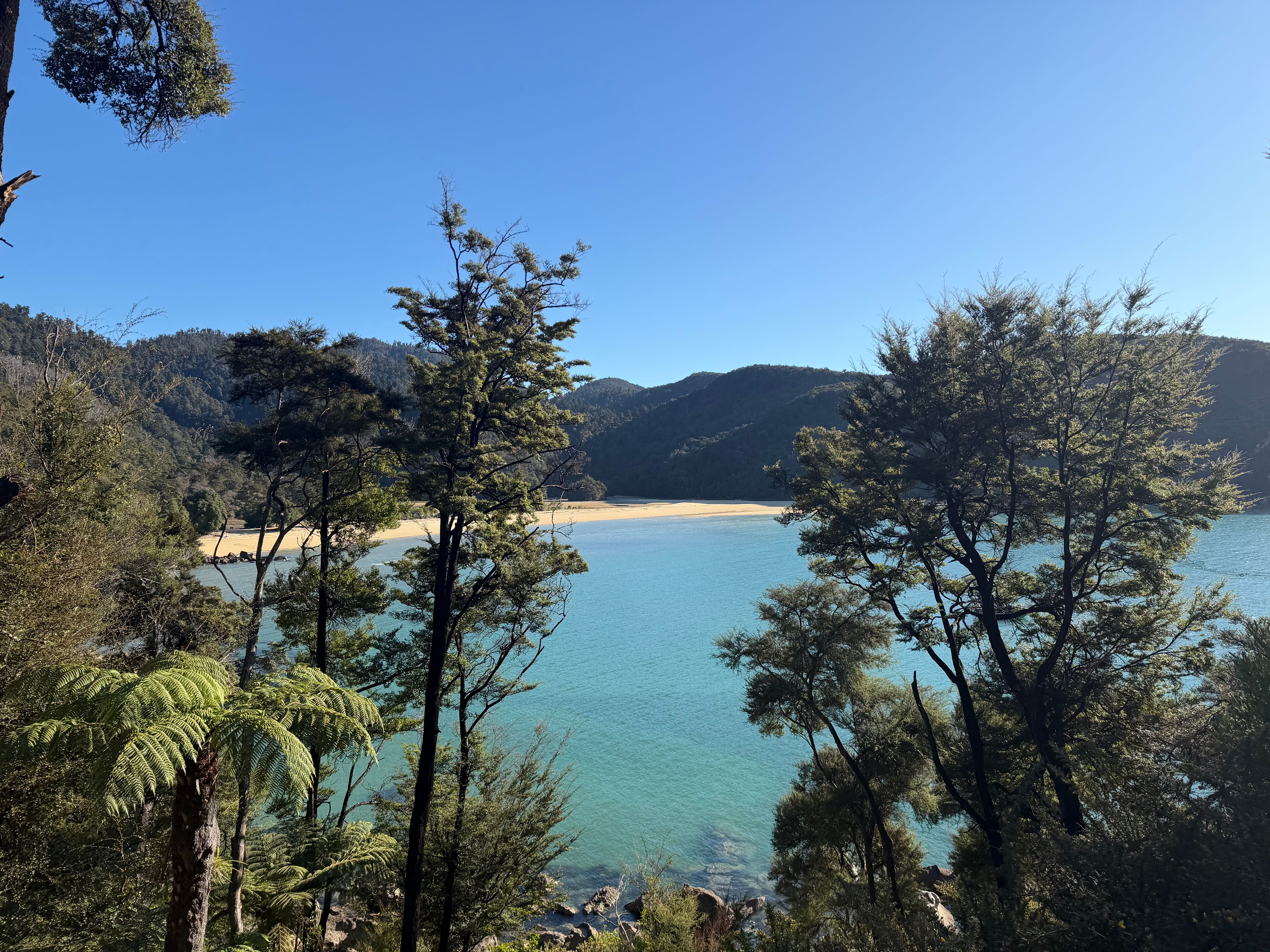 Abel Tasman Coastal Track trek view 2