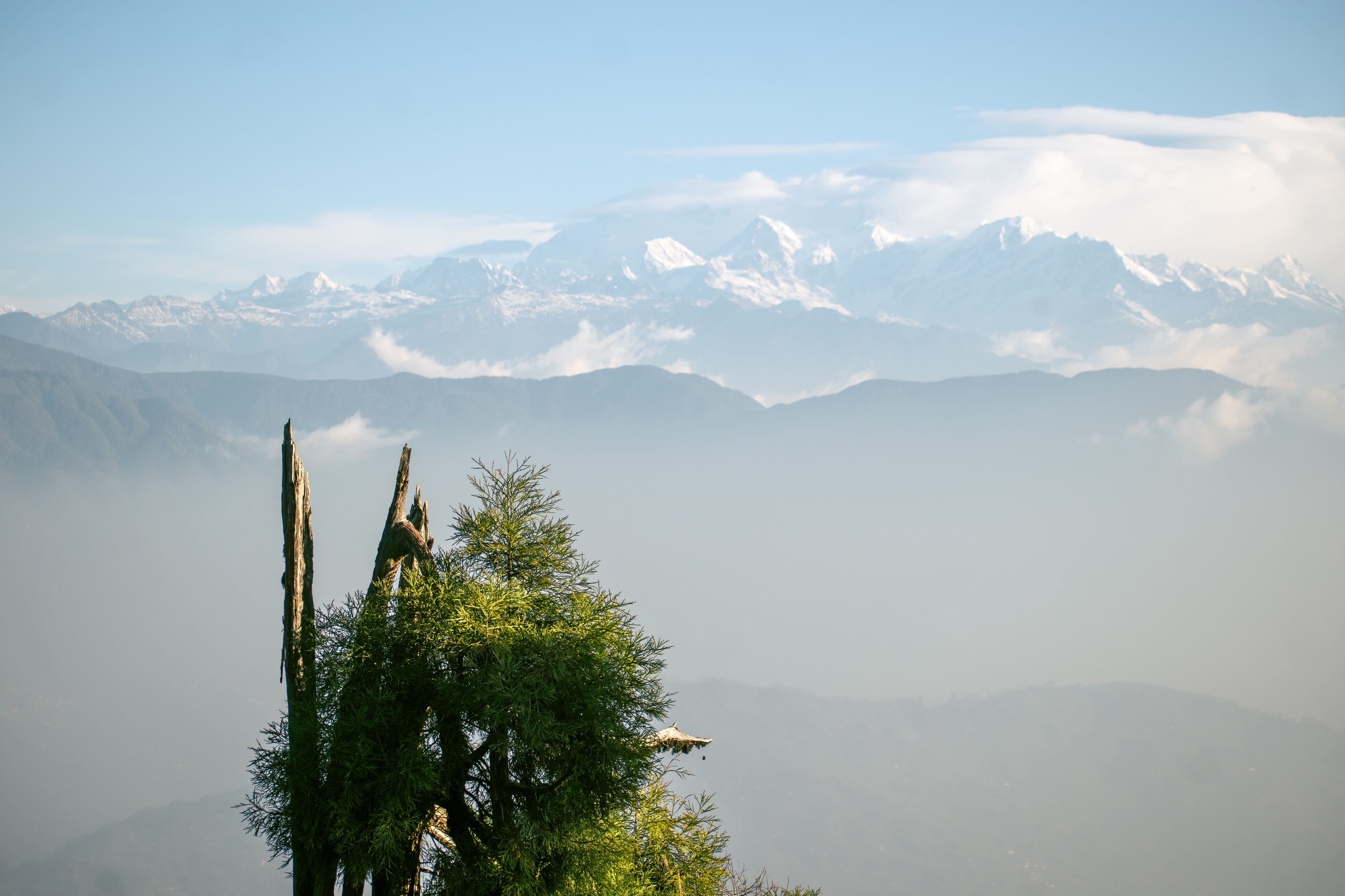 Sandakphu-Phalut Trek trek — West Bengal