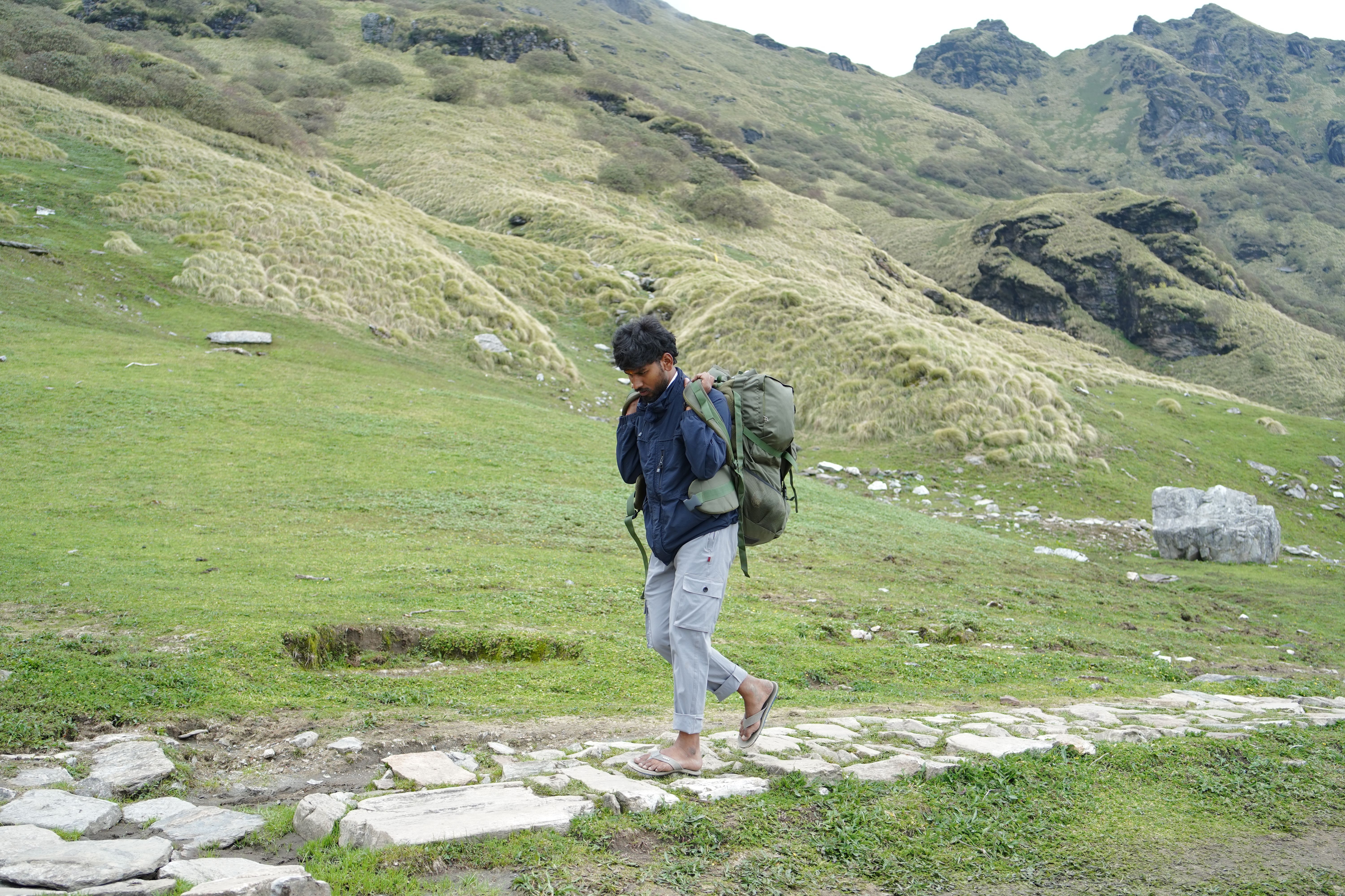 Valley of Flowers Trek trek view 2