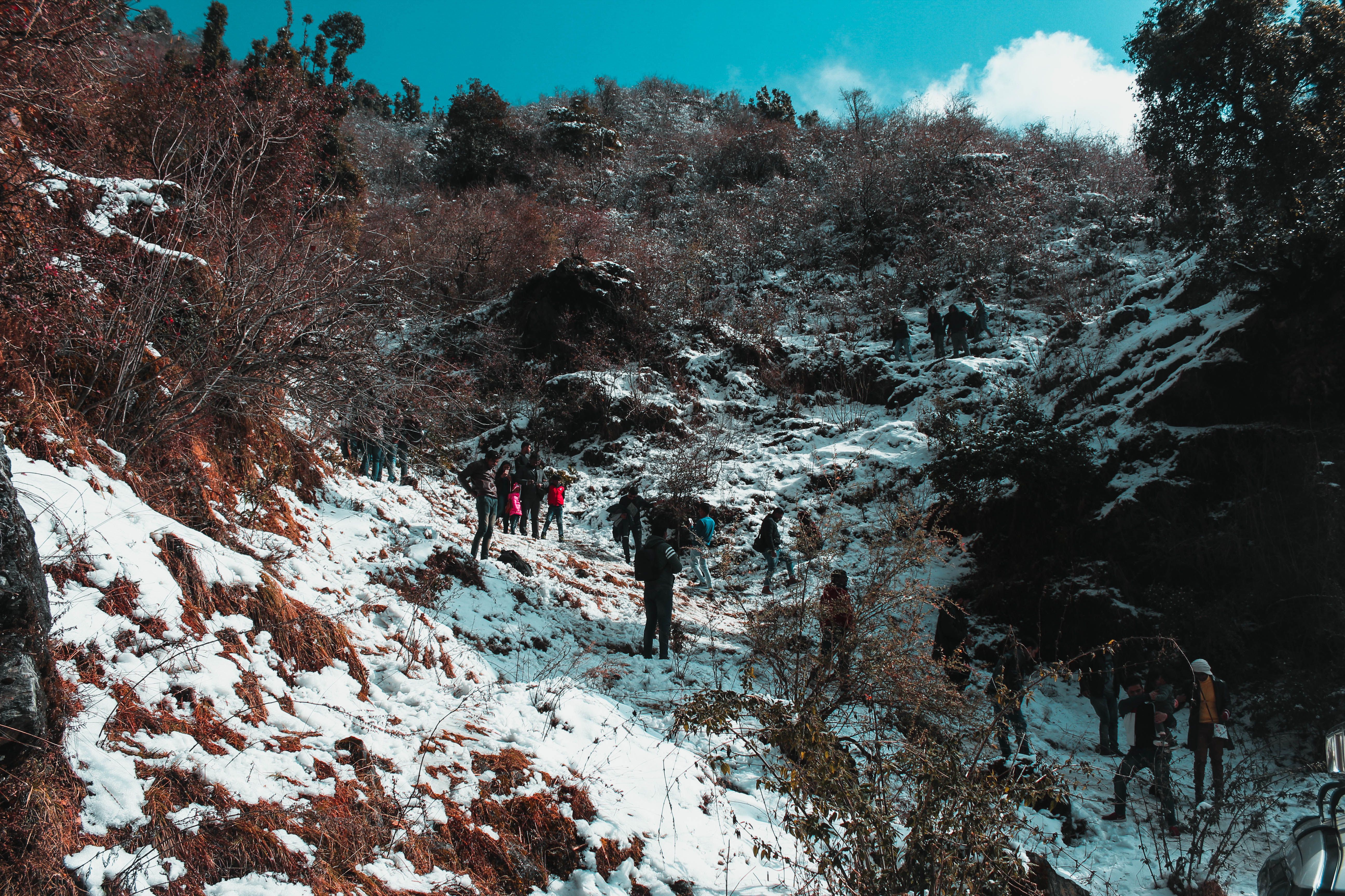 Nag Tibba Trek trek — Uttarakhand