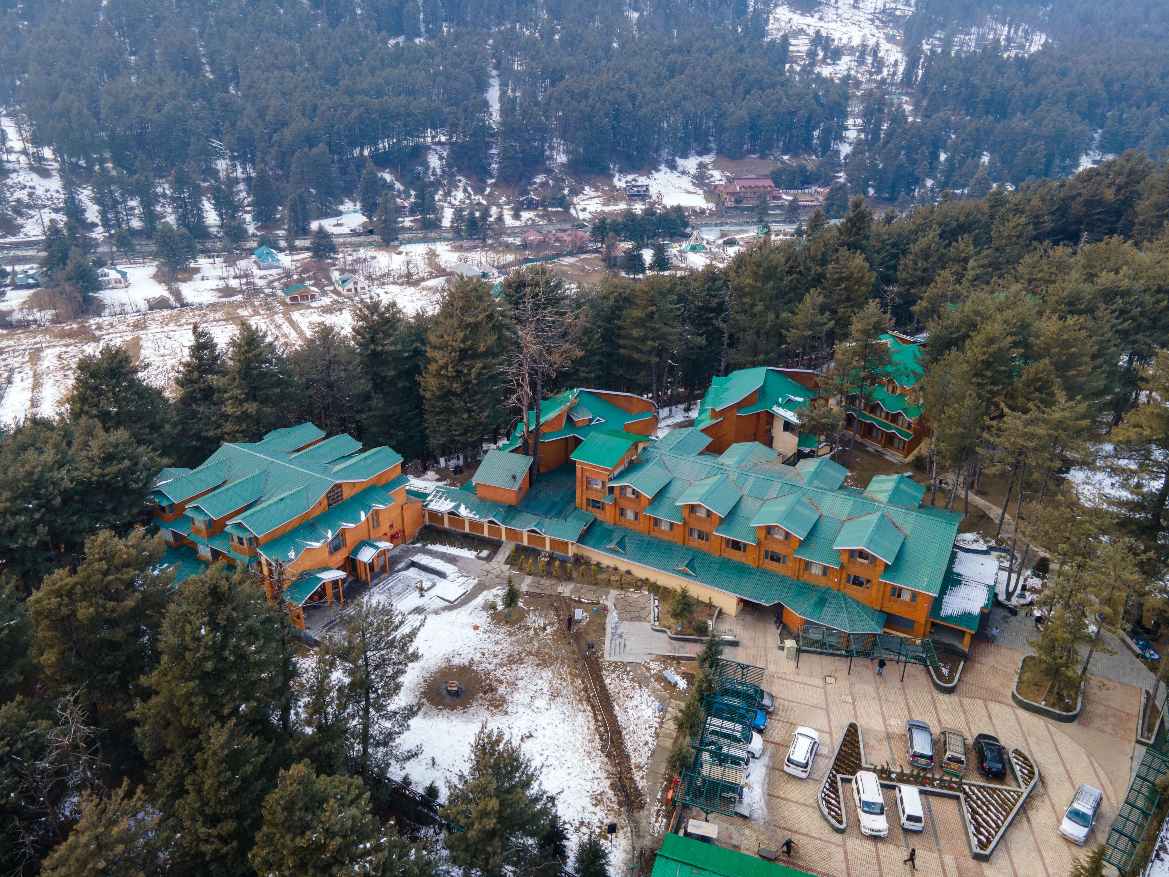 Pine Forest Hotel 4