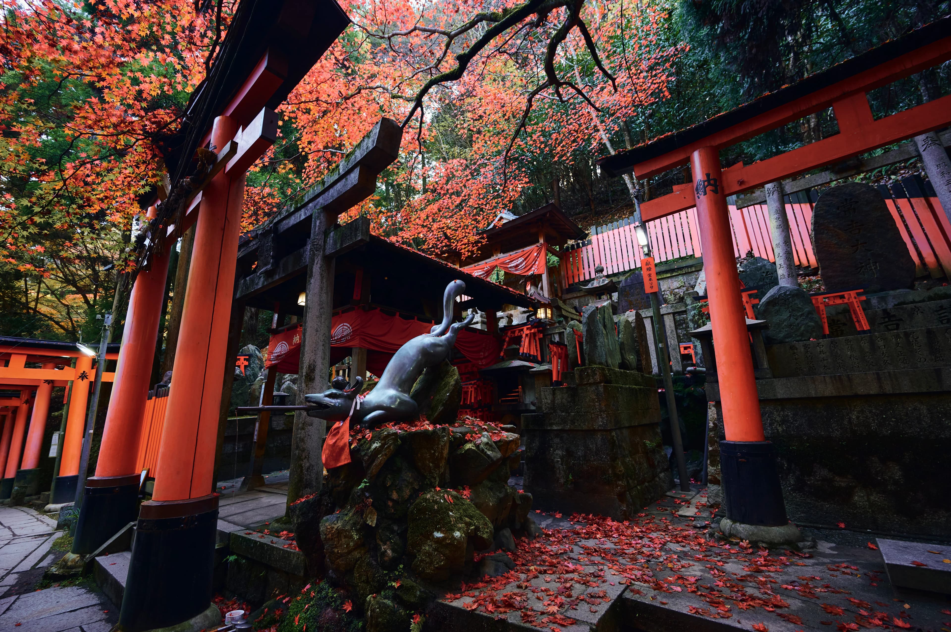 Kyoto — photo 100