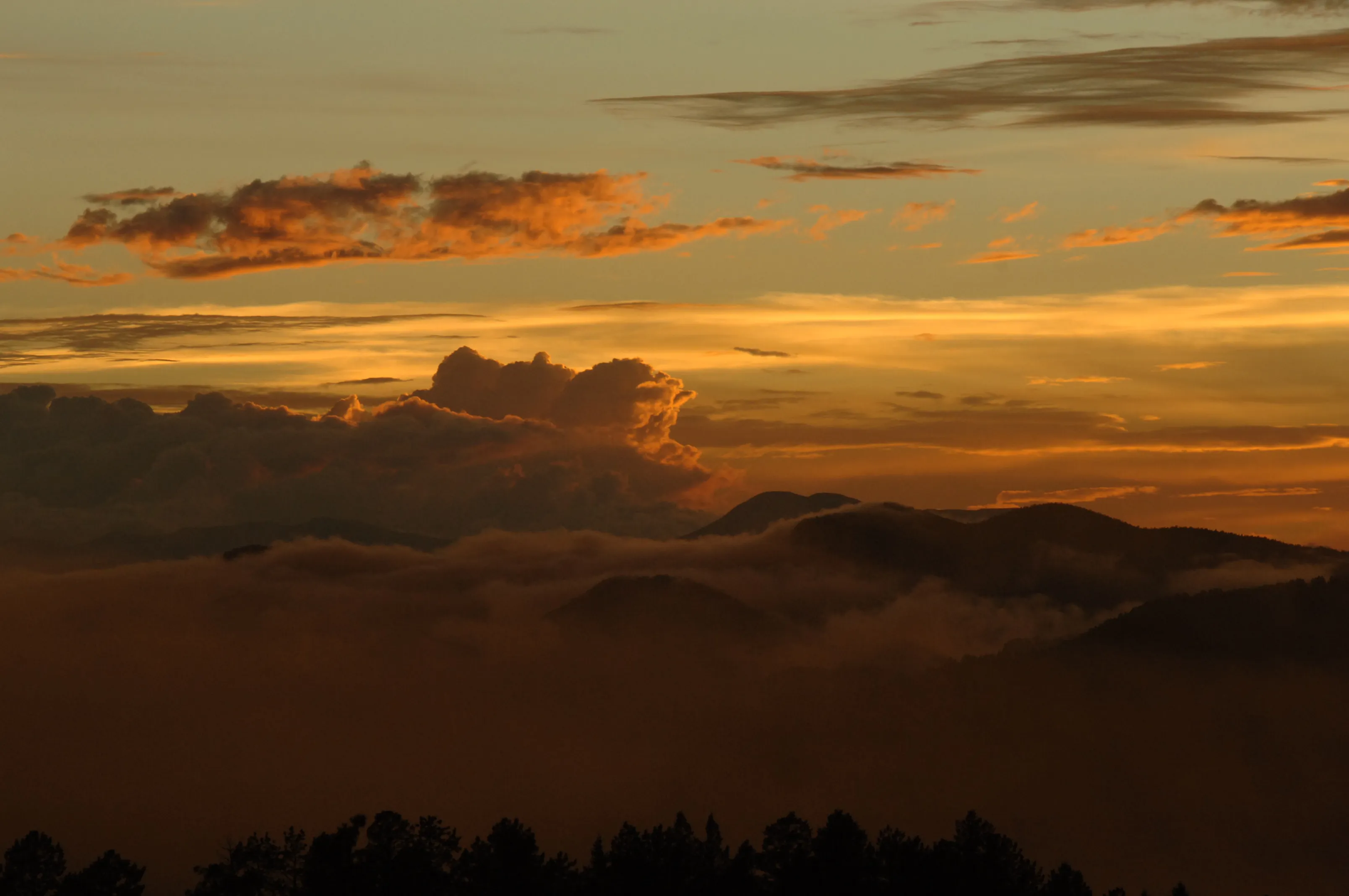Bhutan — photo 100