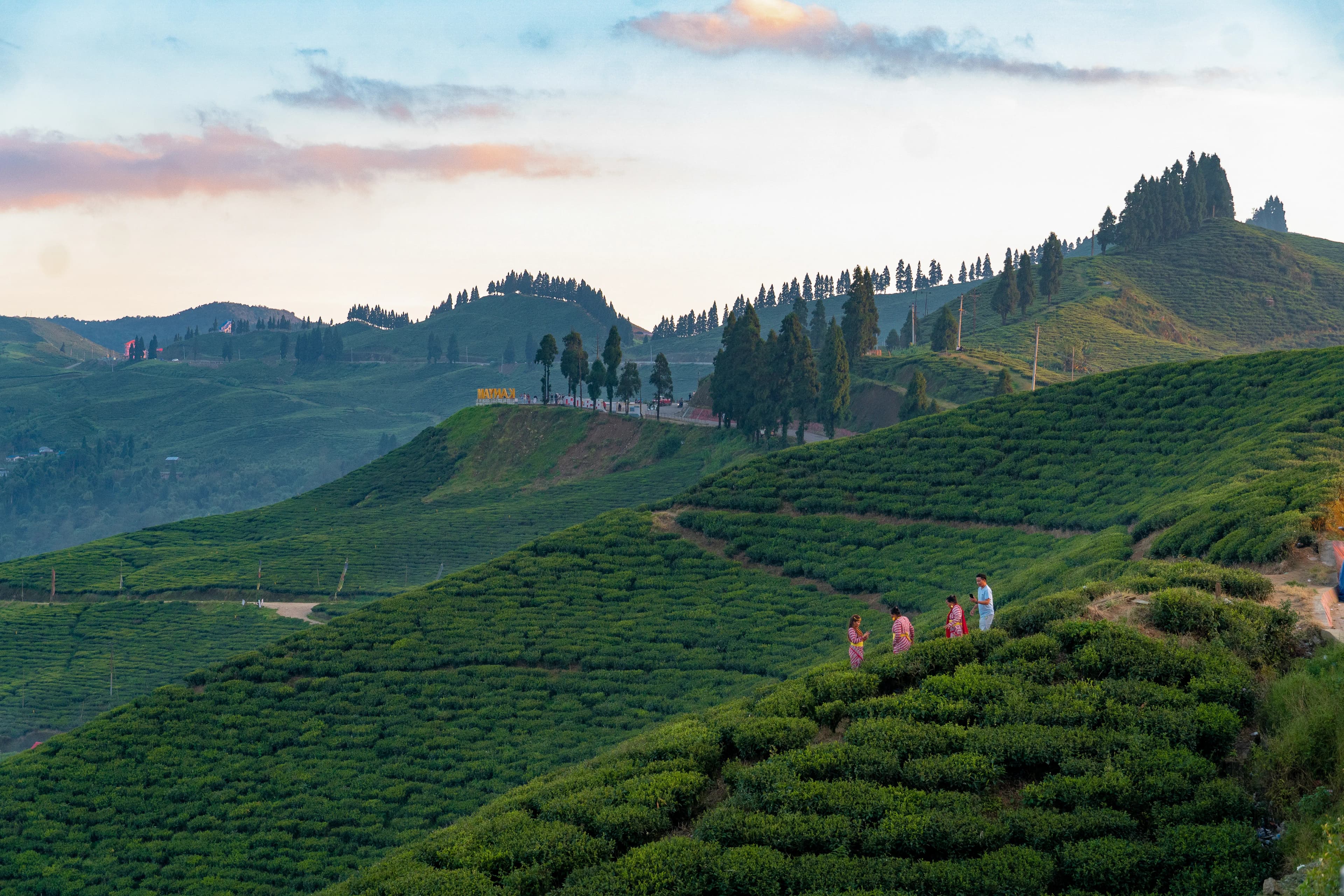 Darjeeling — photo 100