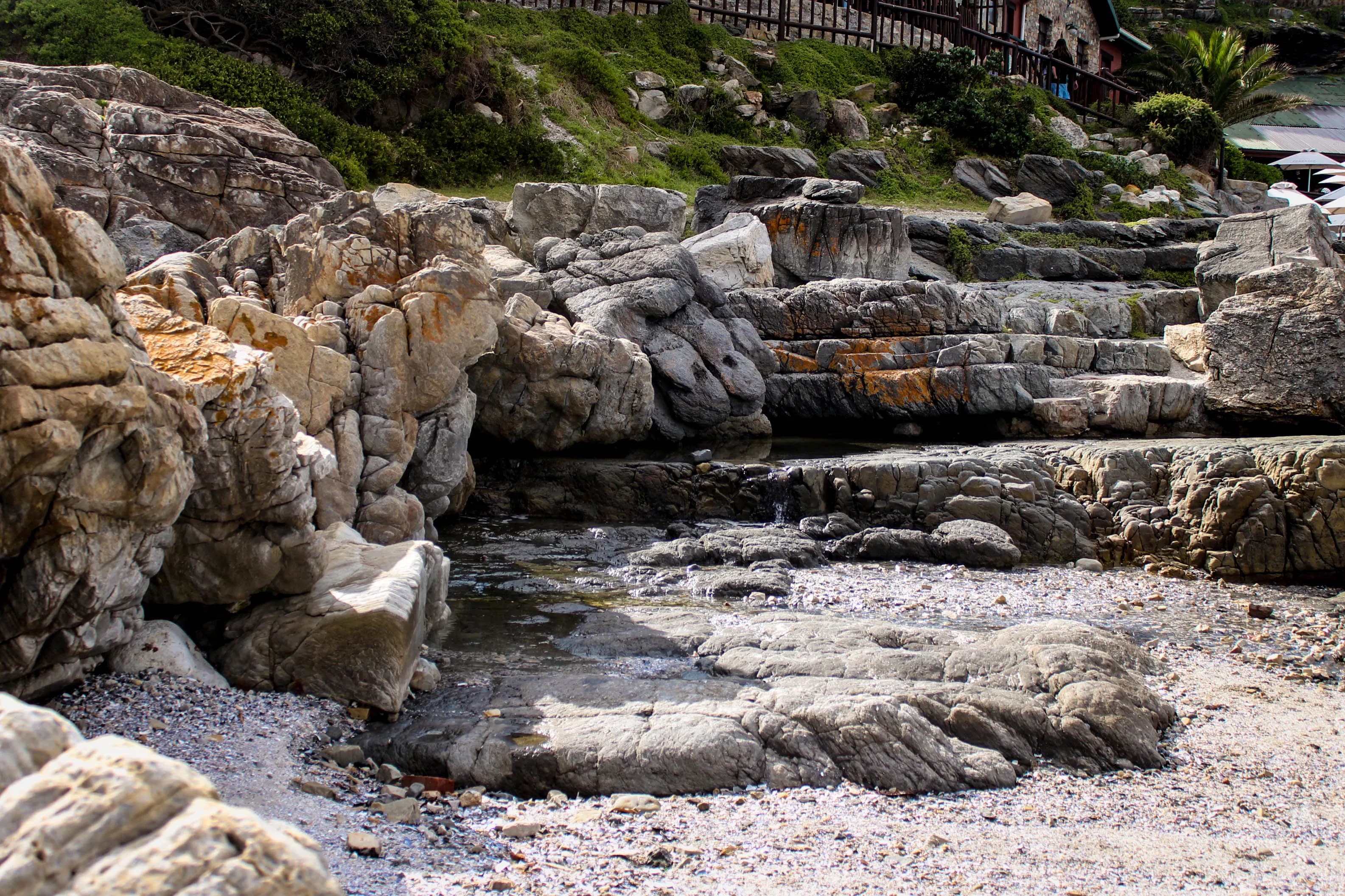 Hermanus