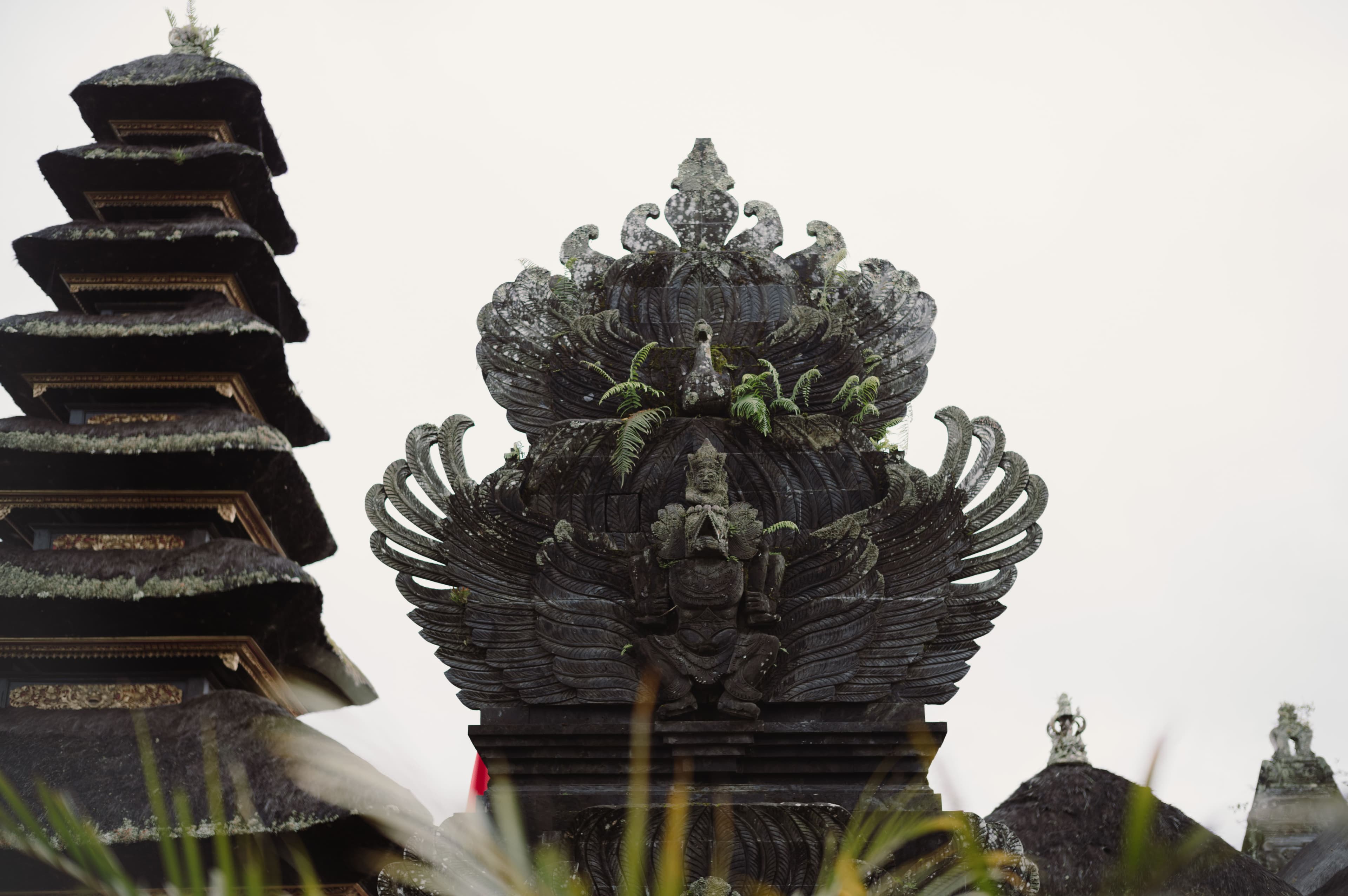 Ubud Monkey Forest