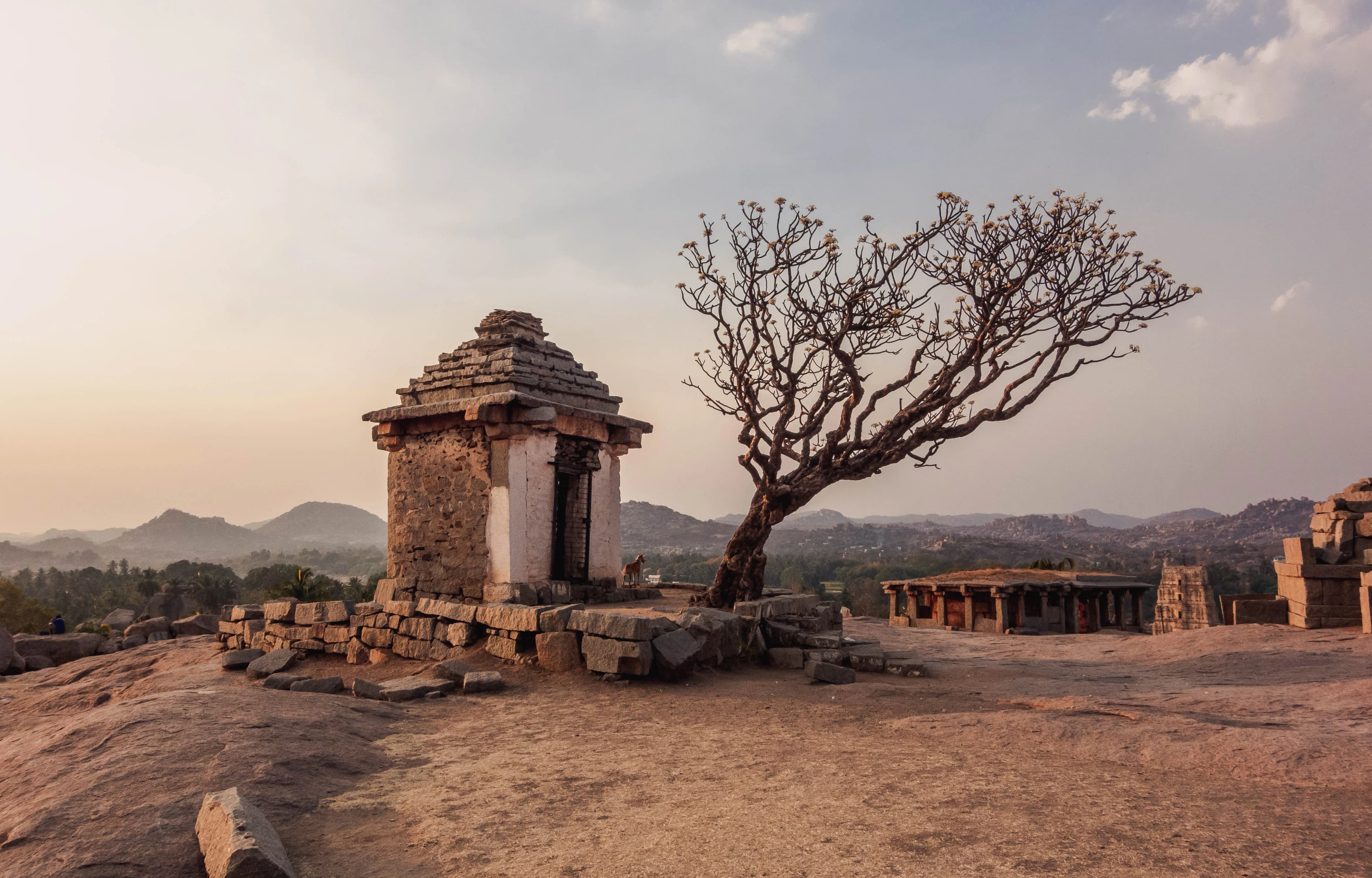 Hampi — photo 100
