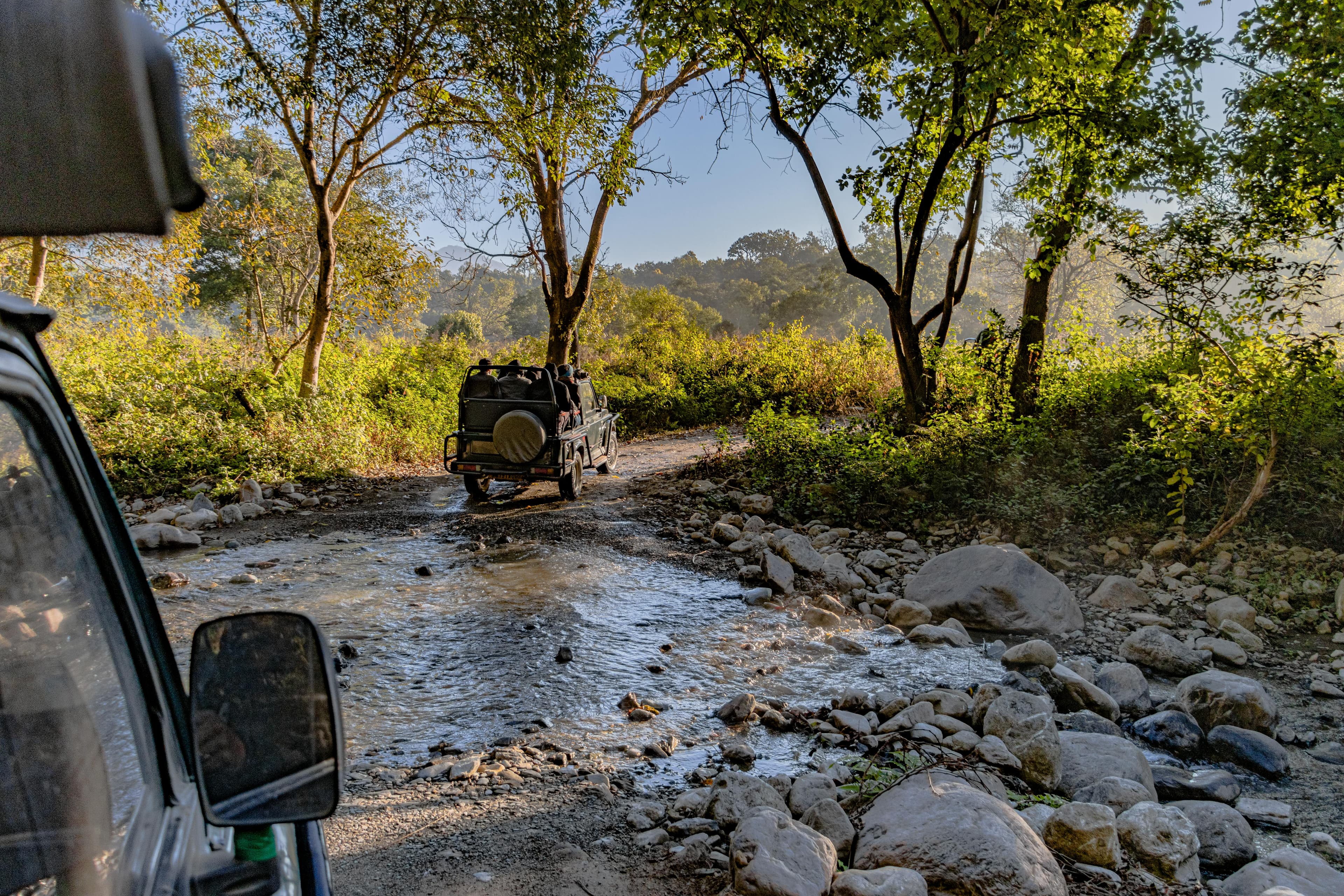 Jim Corbett National Park