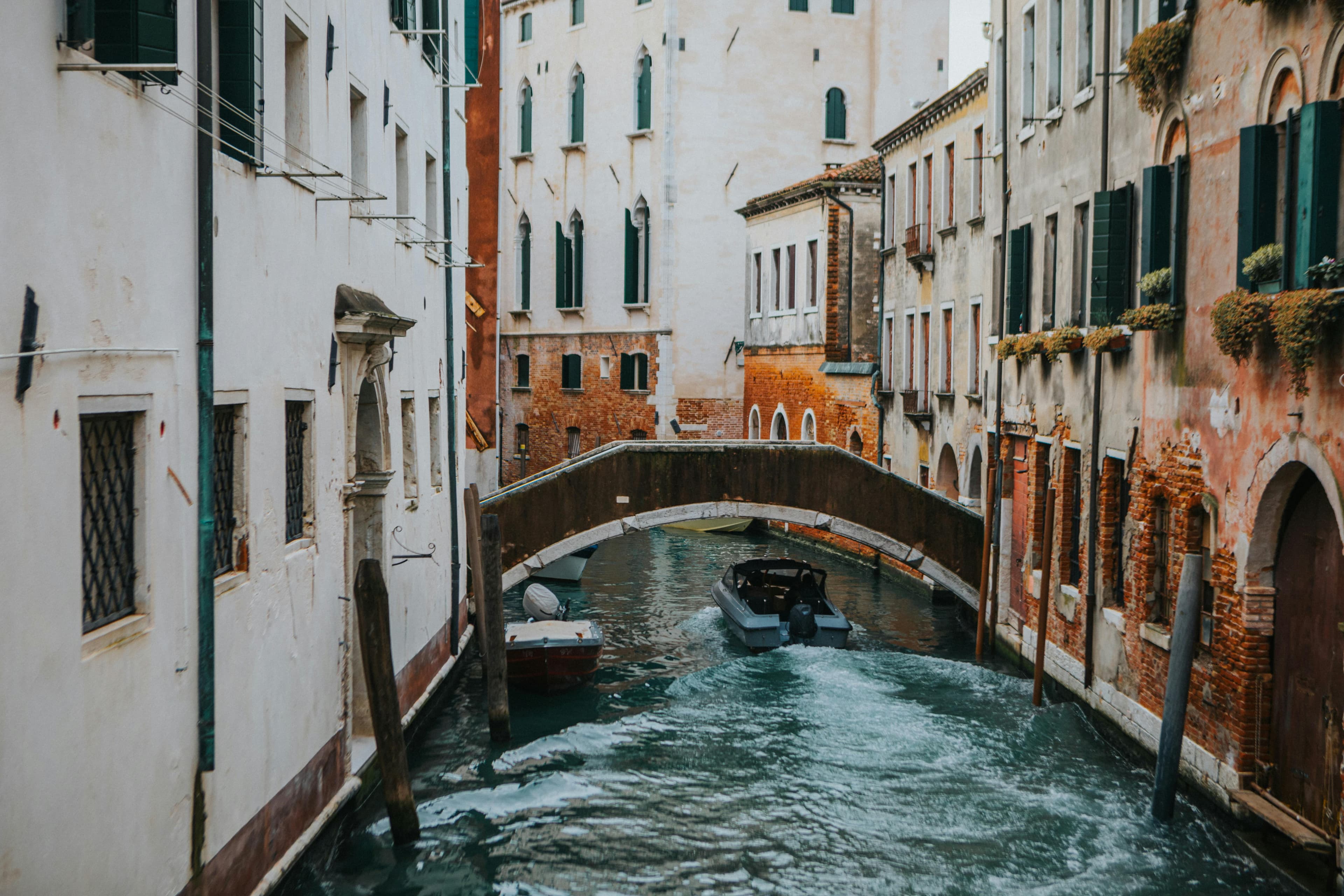 Rialto Market