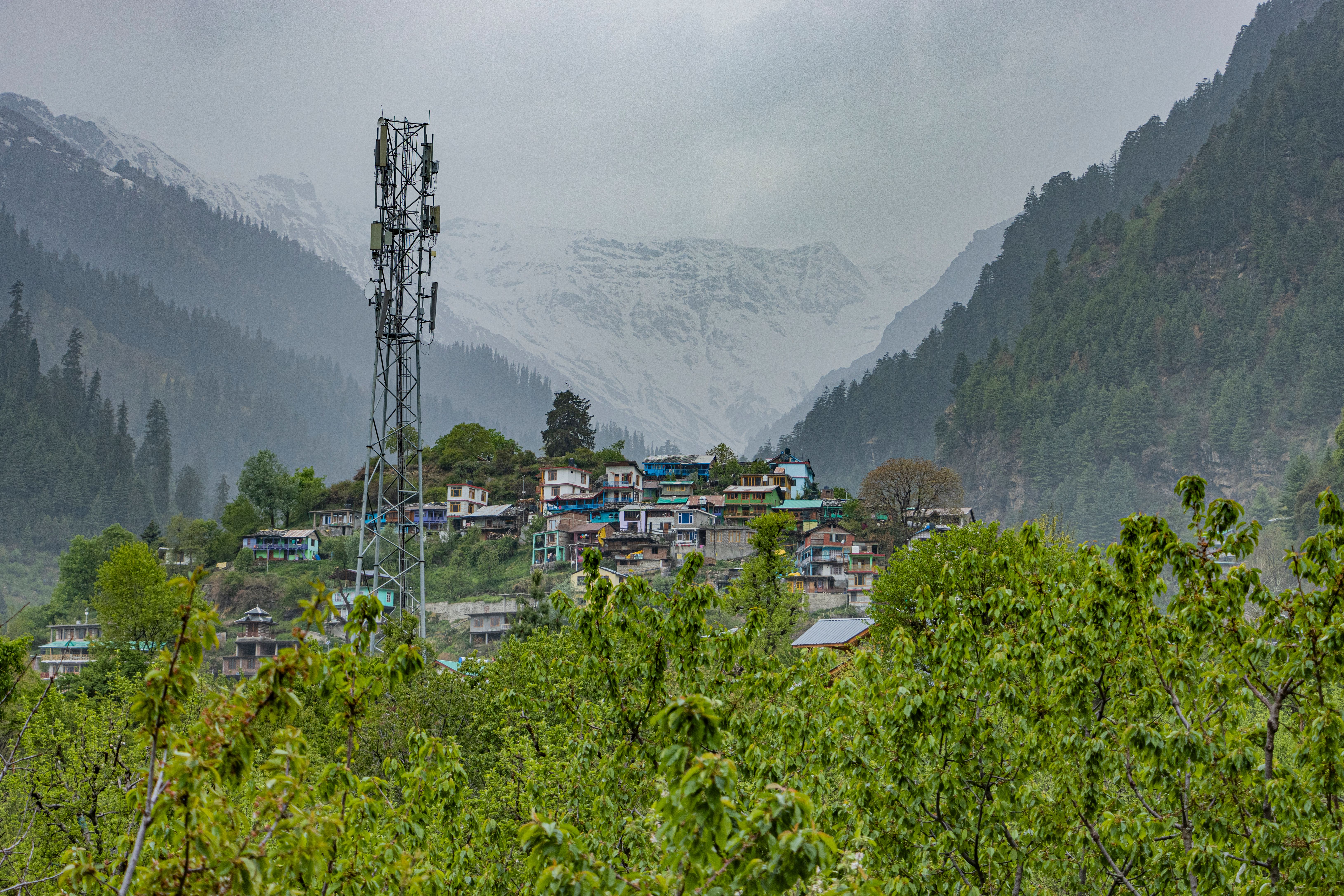 Snow Peak Resort 3