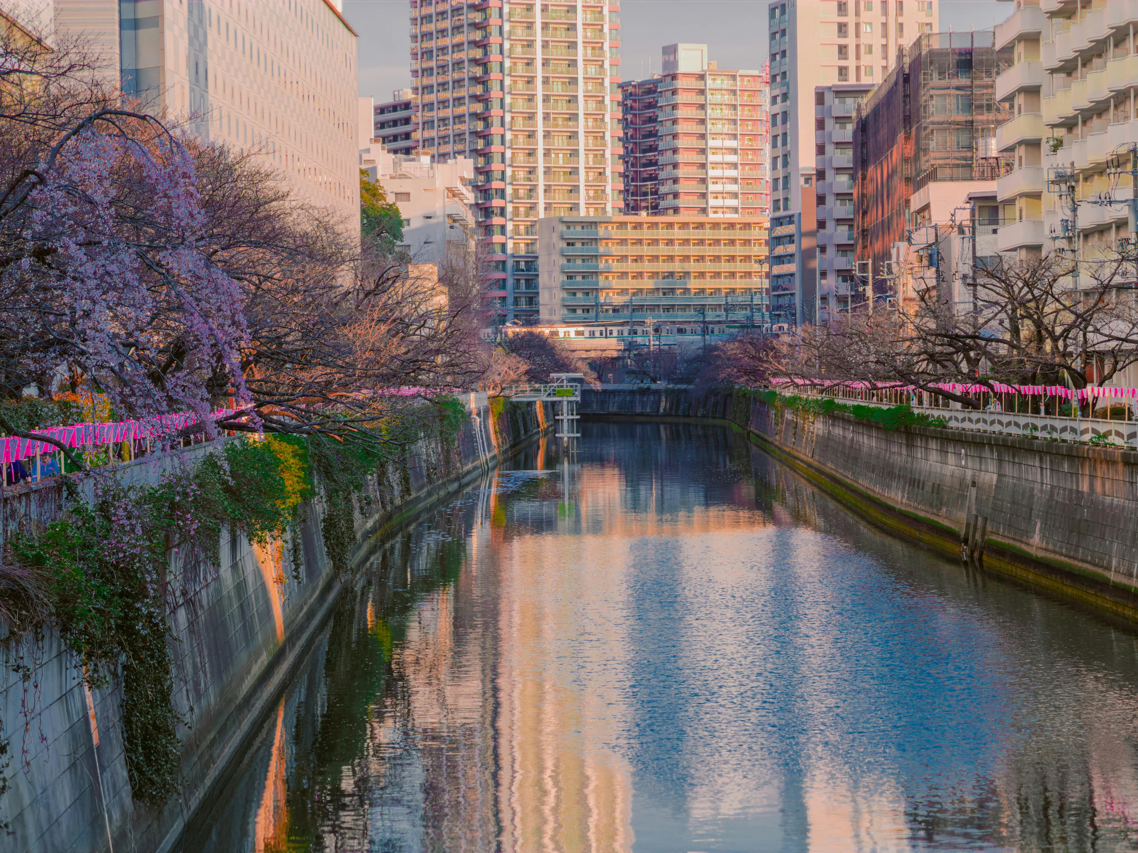 Tokyo