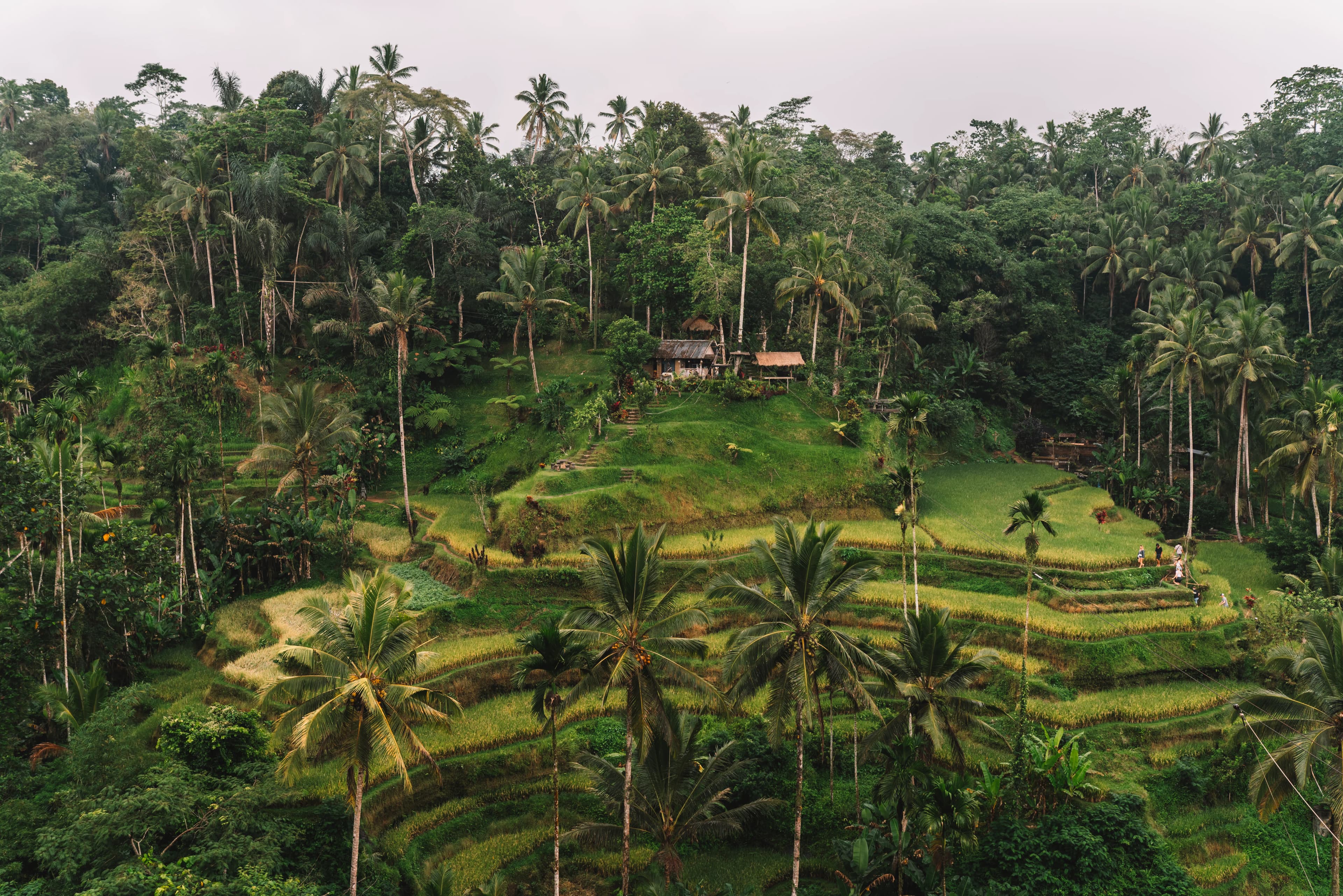 COMO Shambhala Estate 3