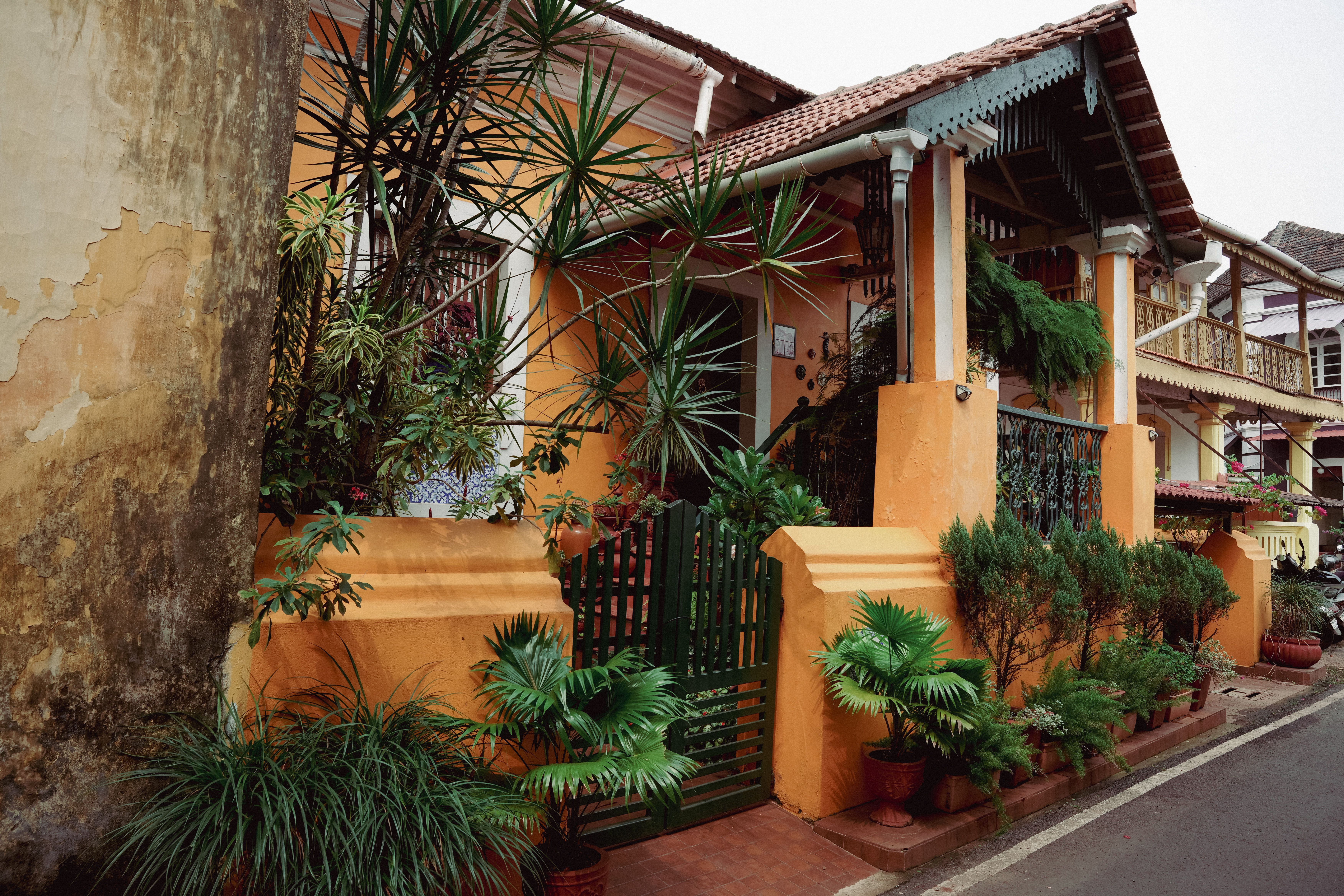 Goa Comfort Stay 2
