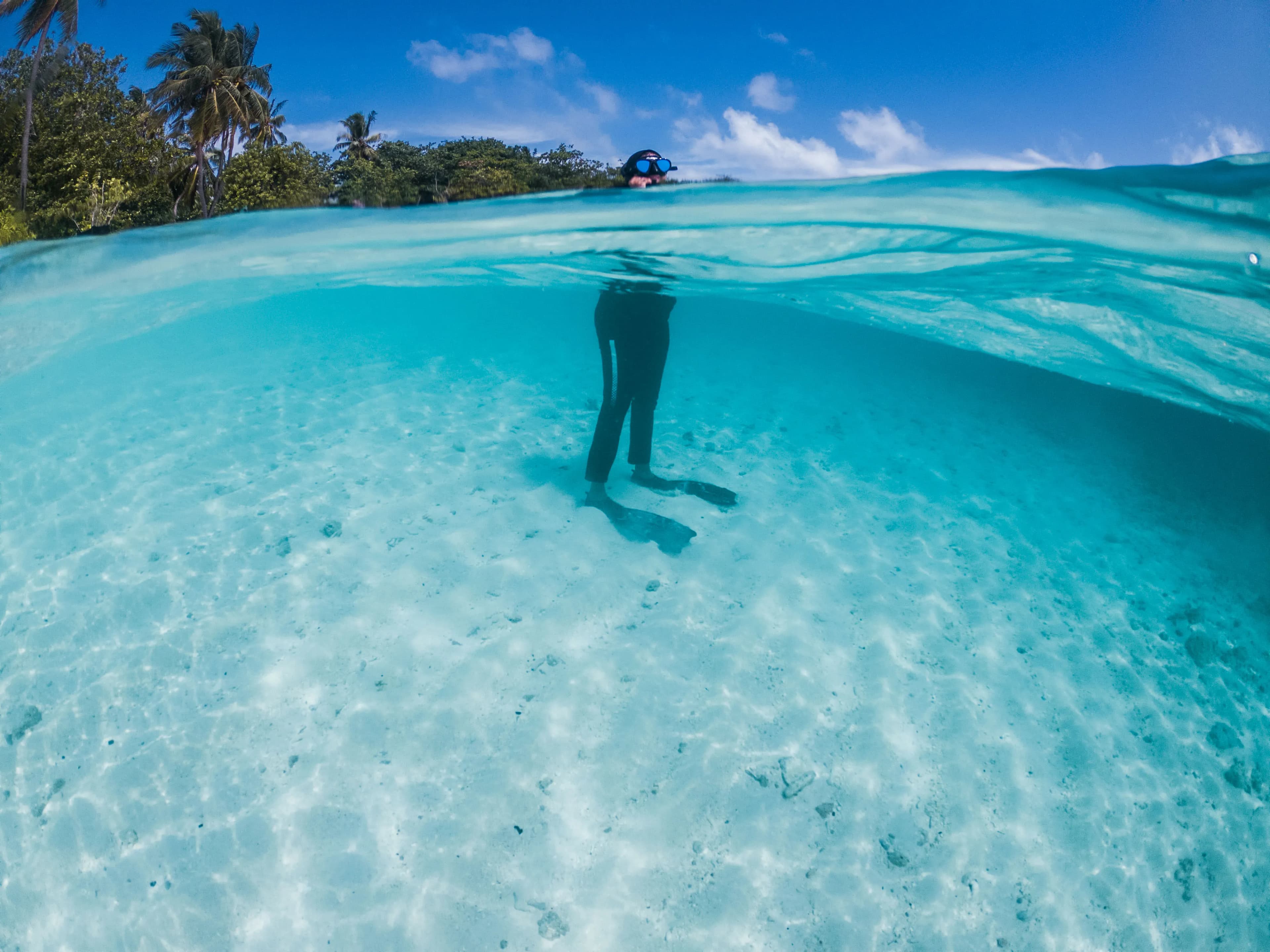 Snorkelling Trip