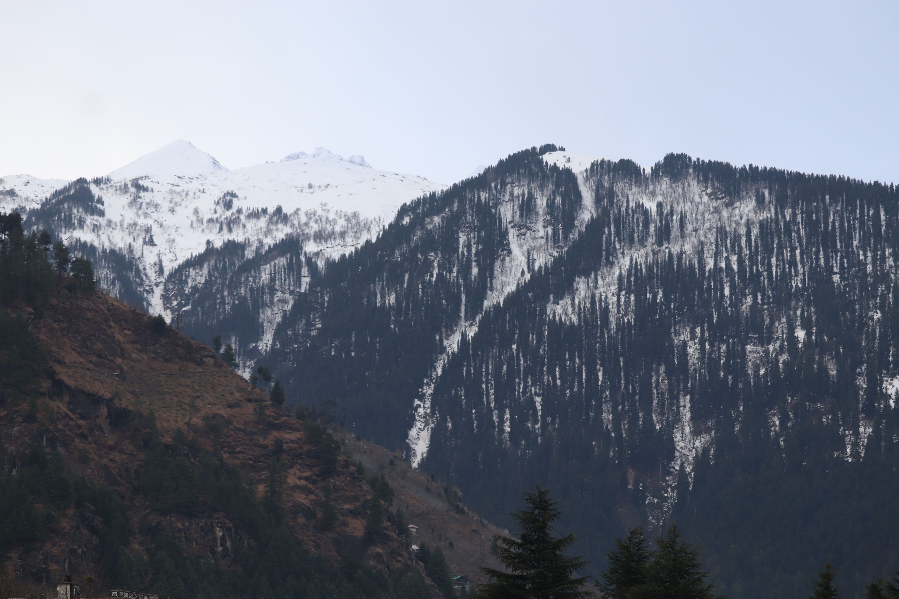 Manali for solo travellers — everything you need to know