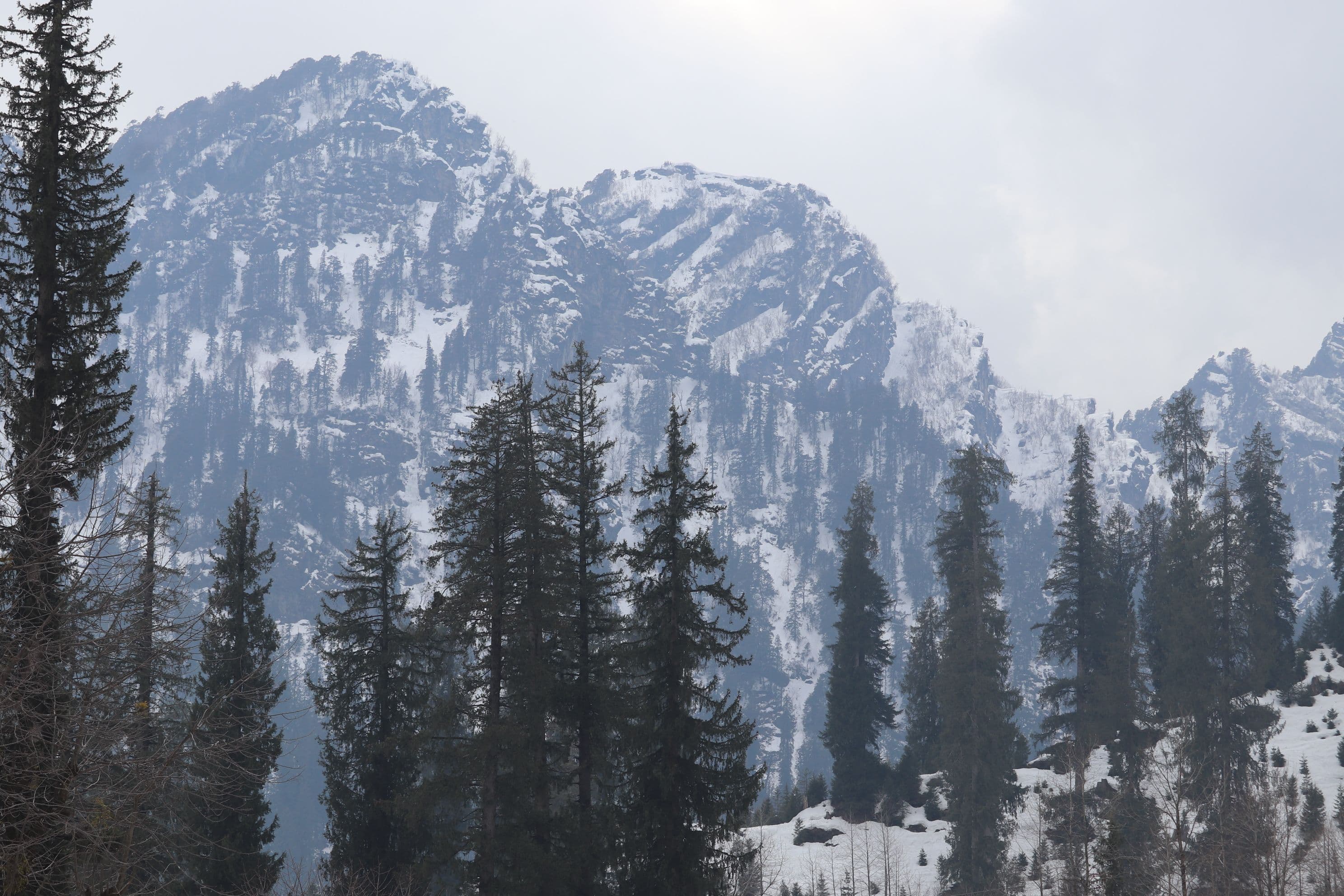 Snow Peak Resort 3
