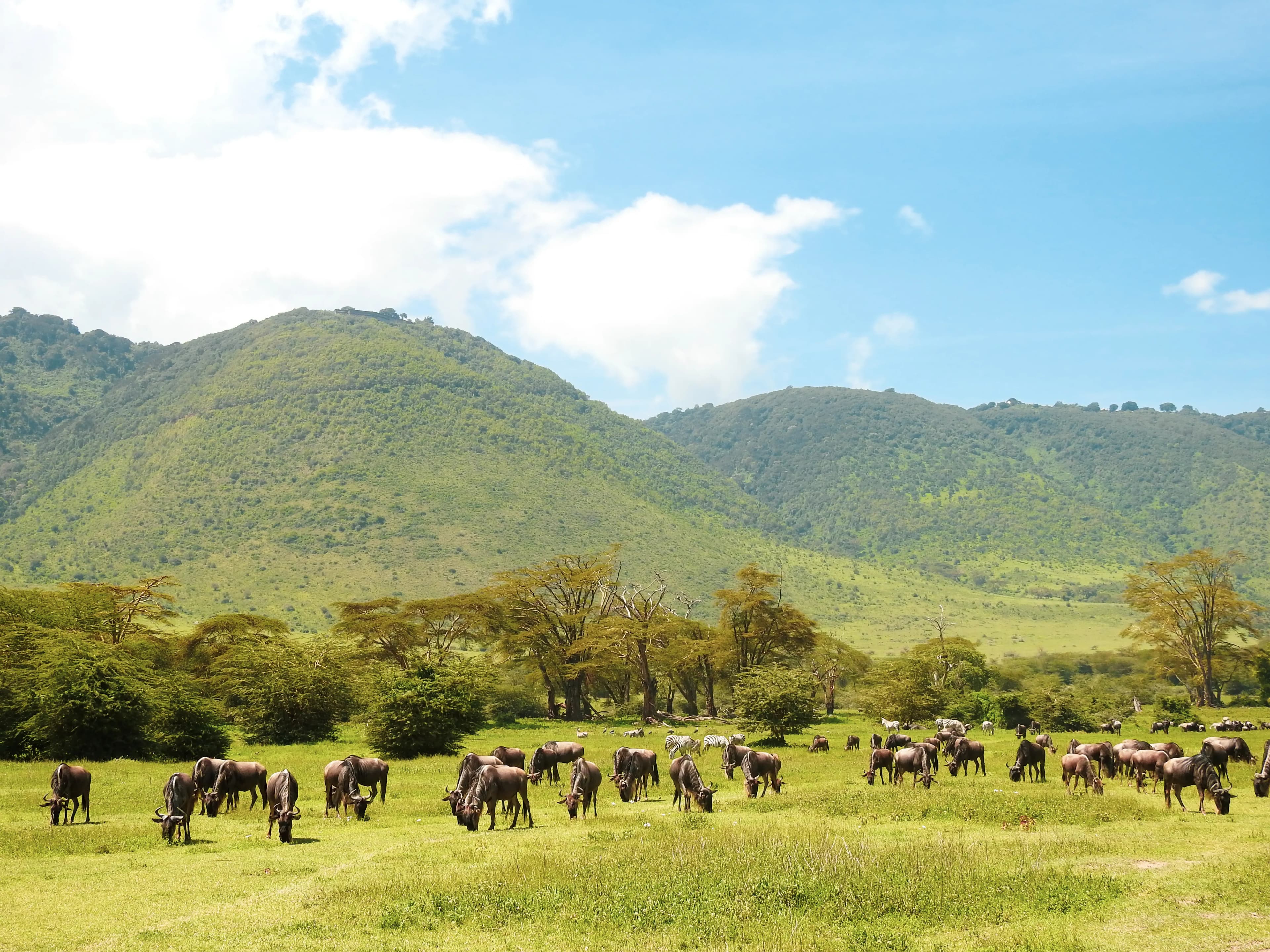 The best photography spots in Arusha