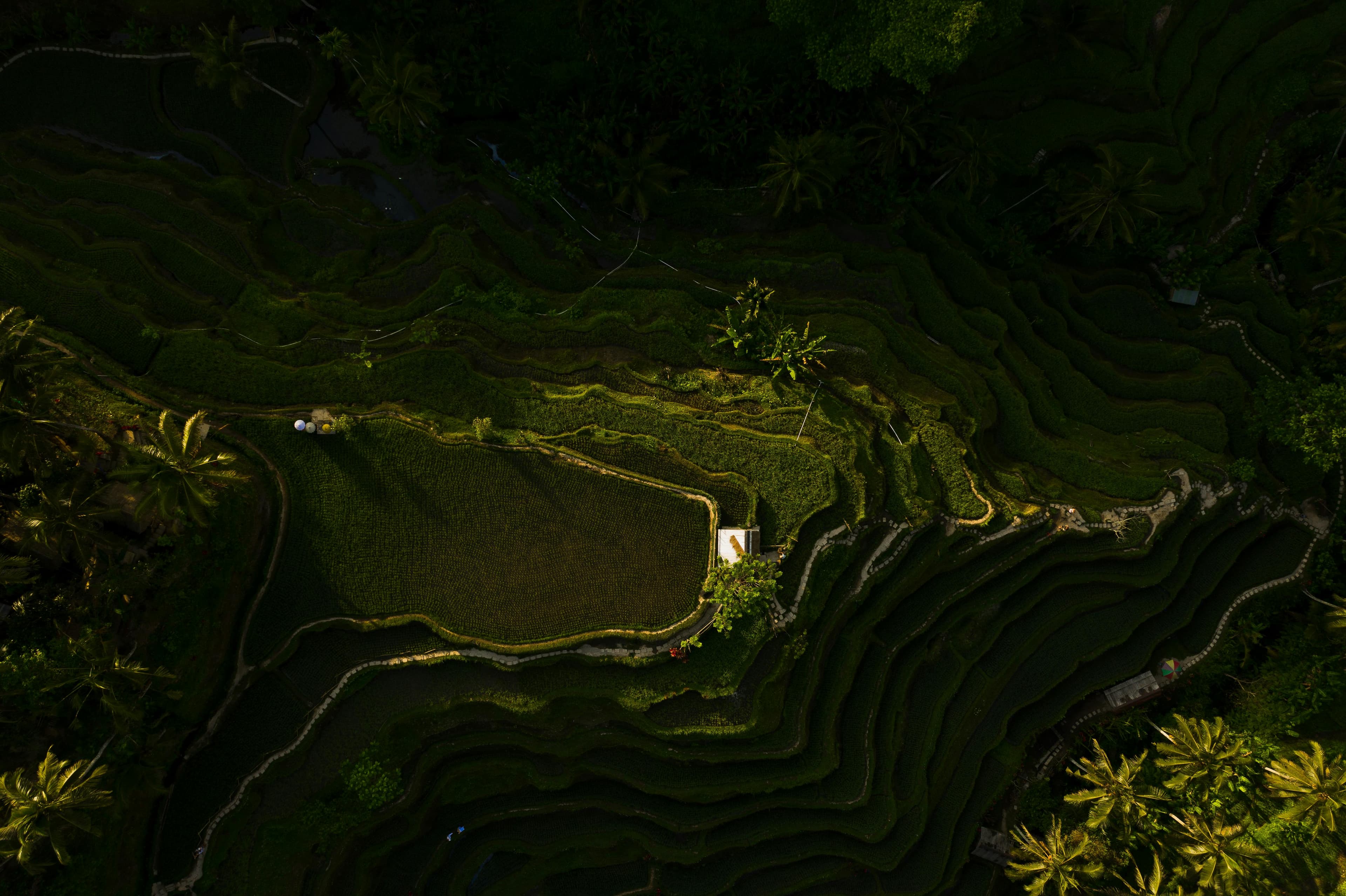 Bali — photo 2