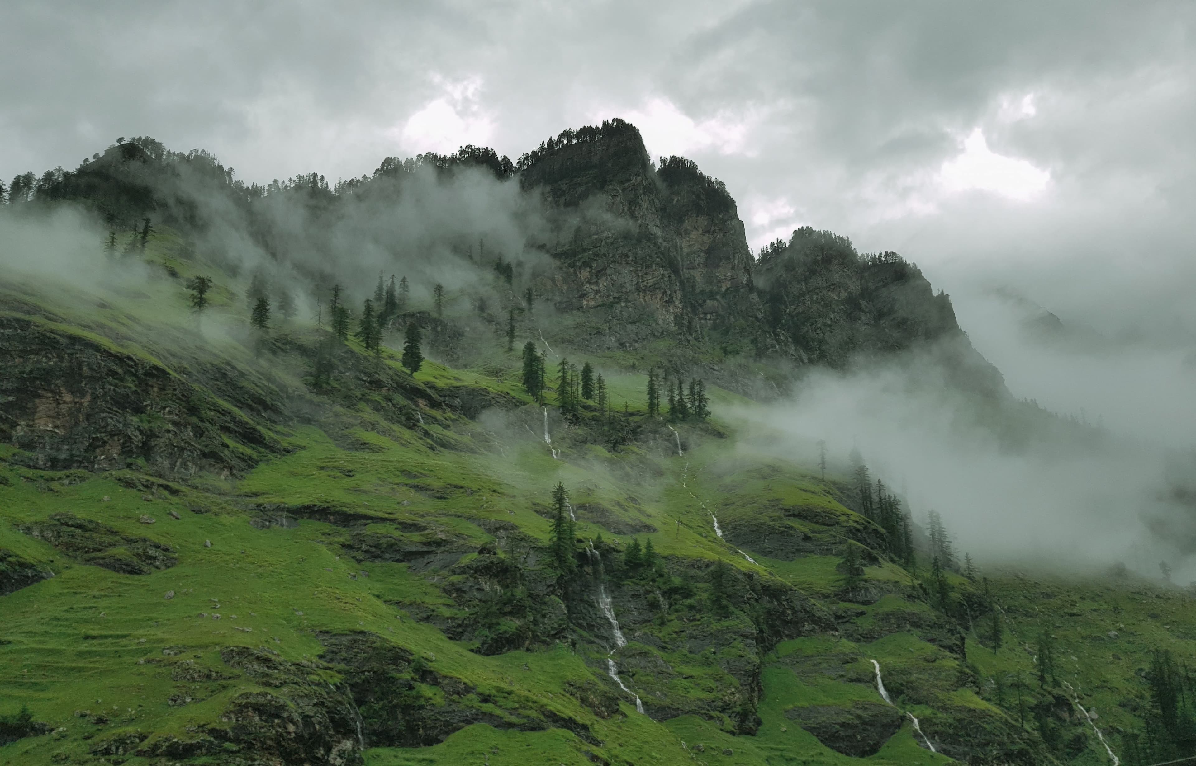 Manali Heights 3
