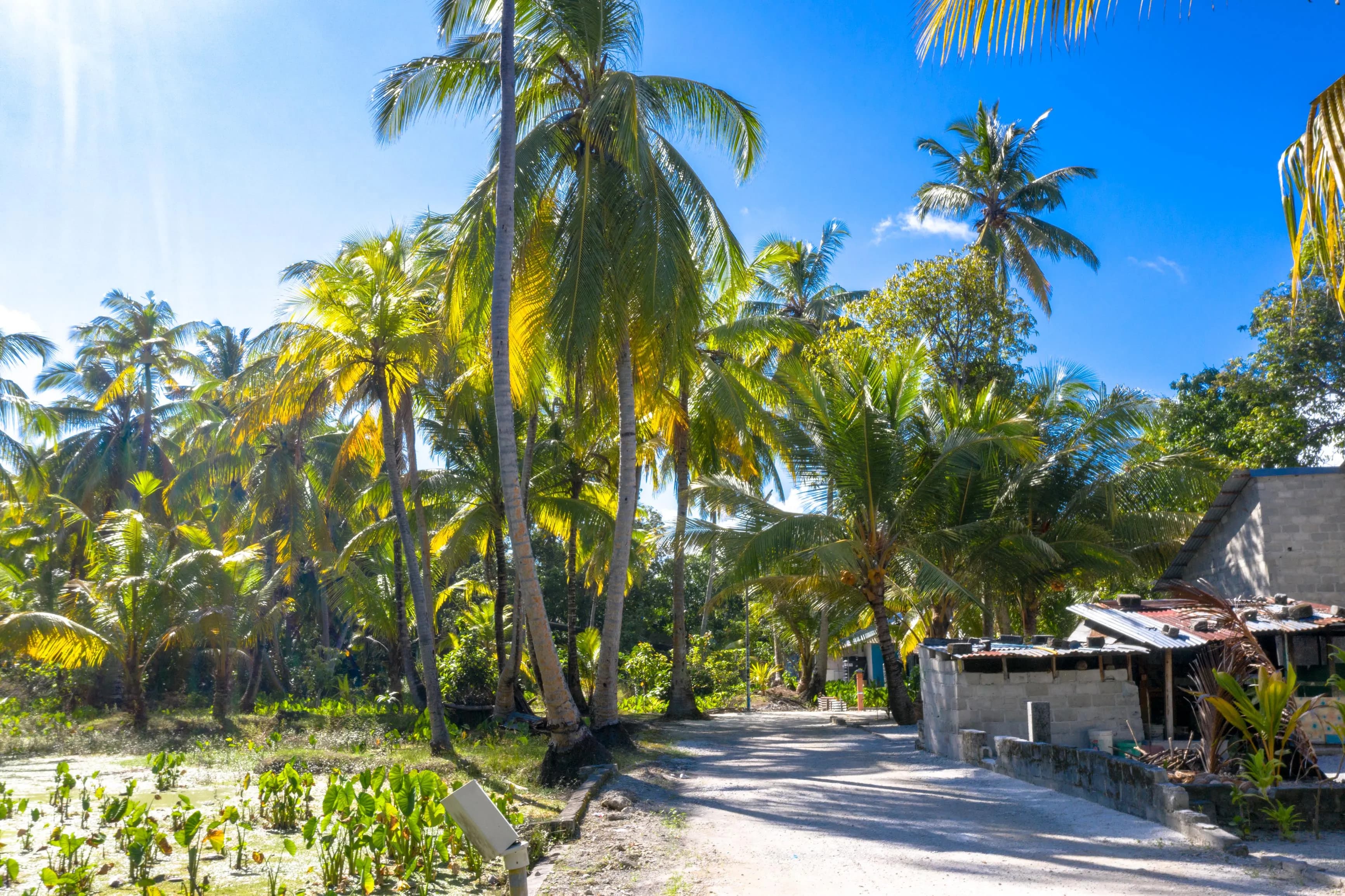 Local Island Visit