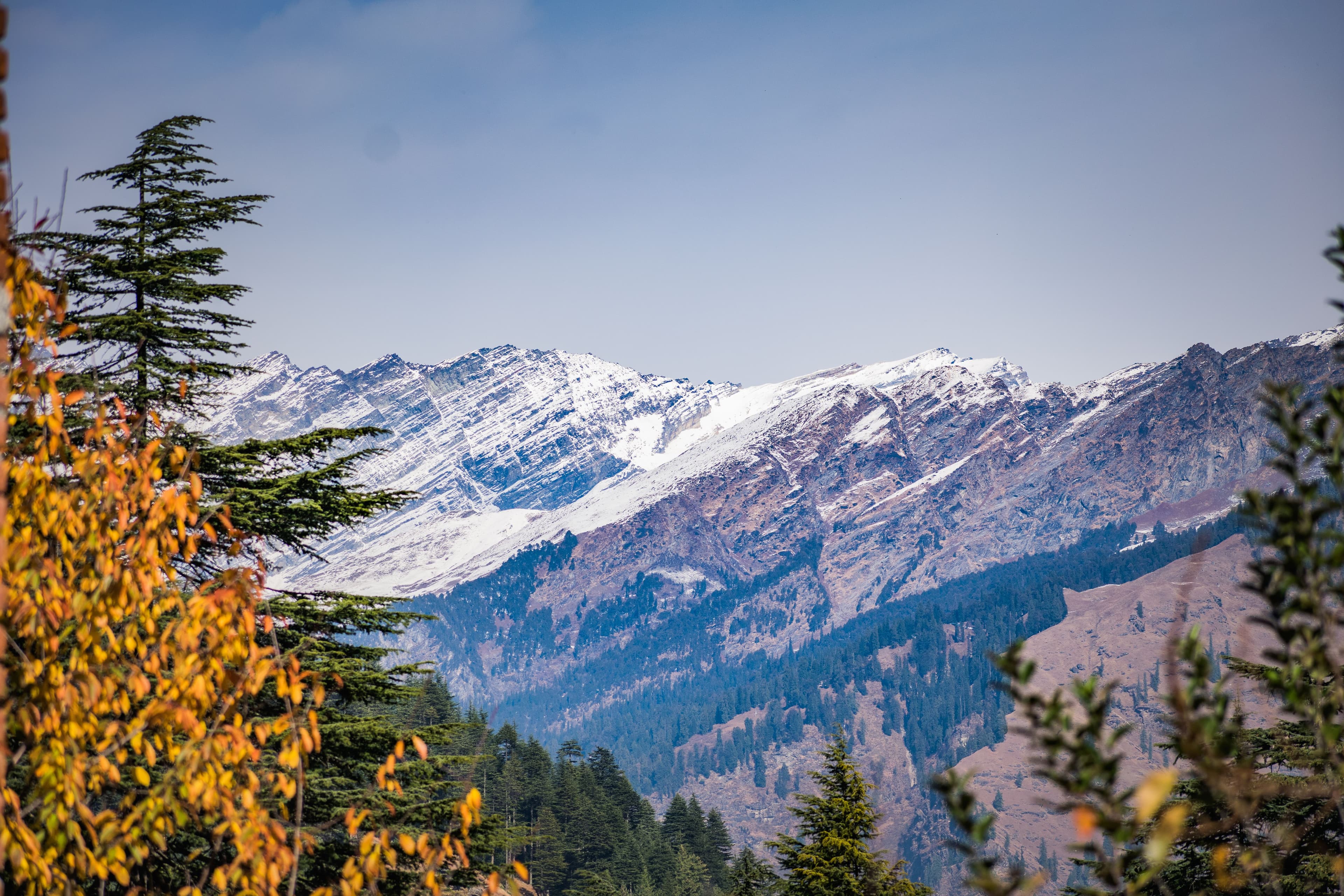 Snow Peak Resort 4