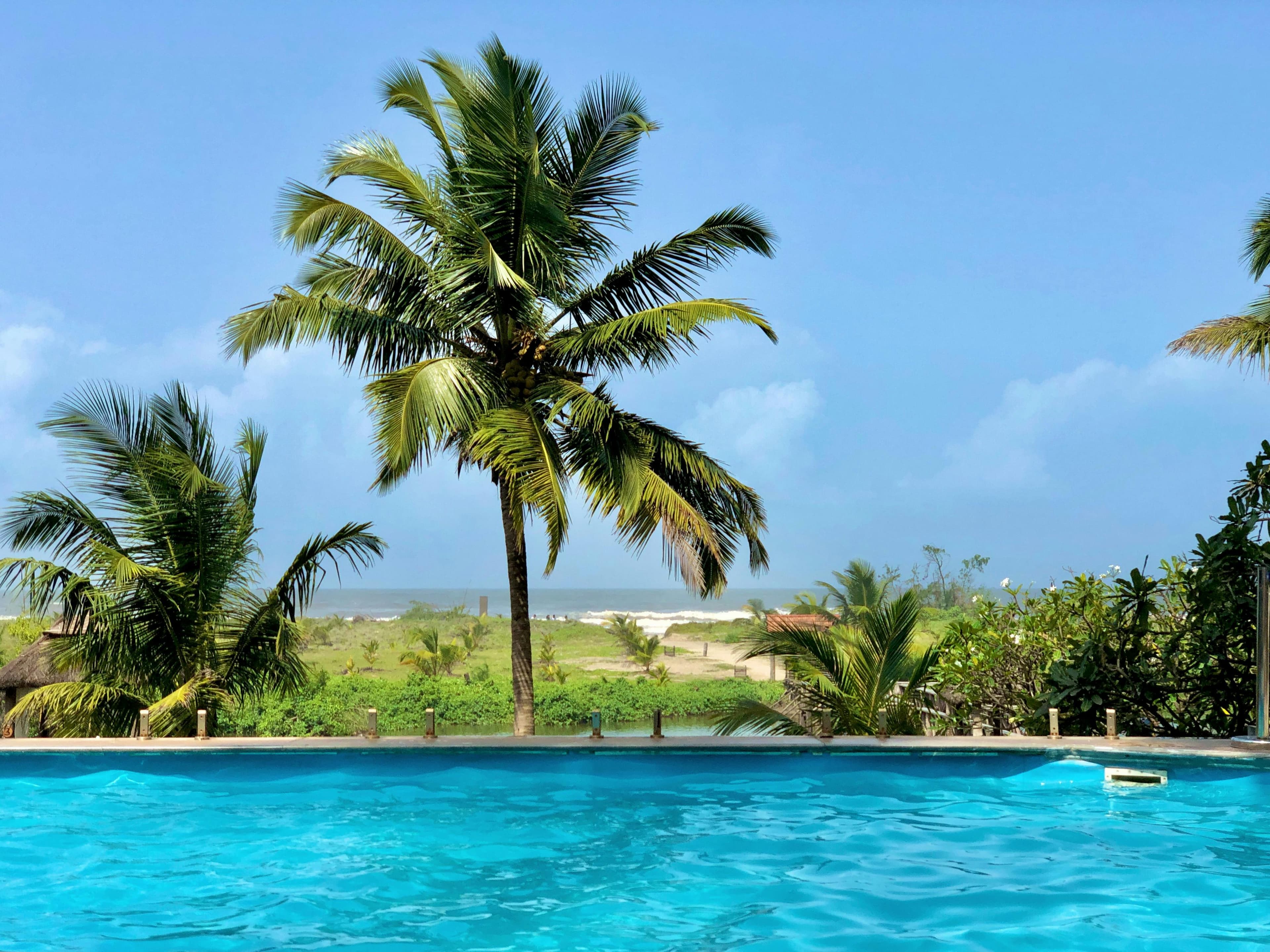 Tropical Paradise Inn 4