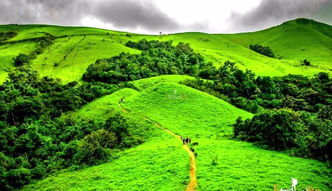 Kodachadri Trek trek