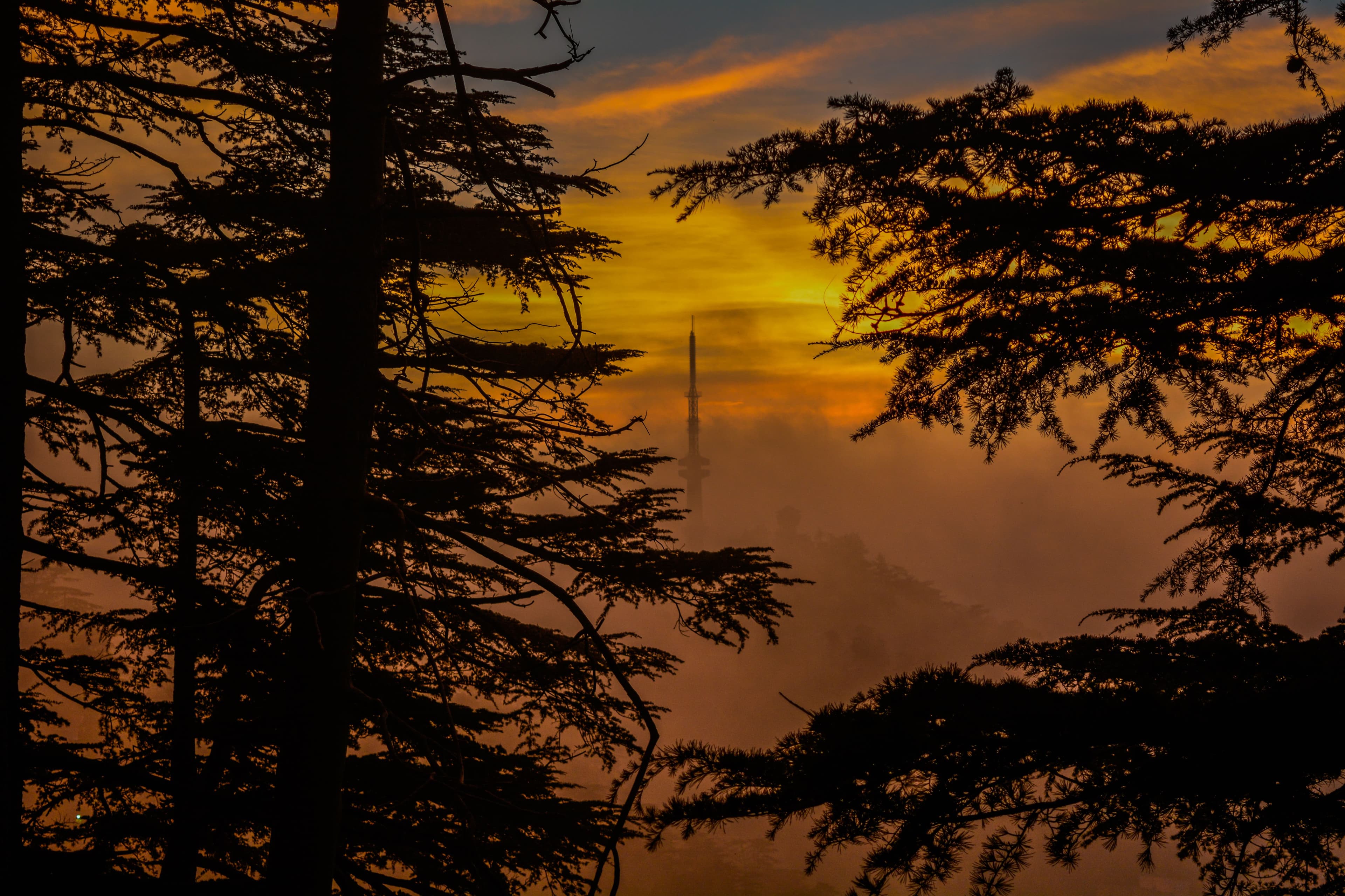 Wildflower Hall, Shimla in the Himalayas
