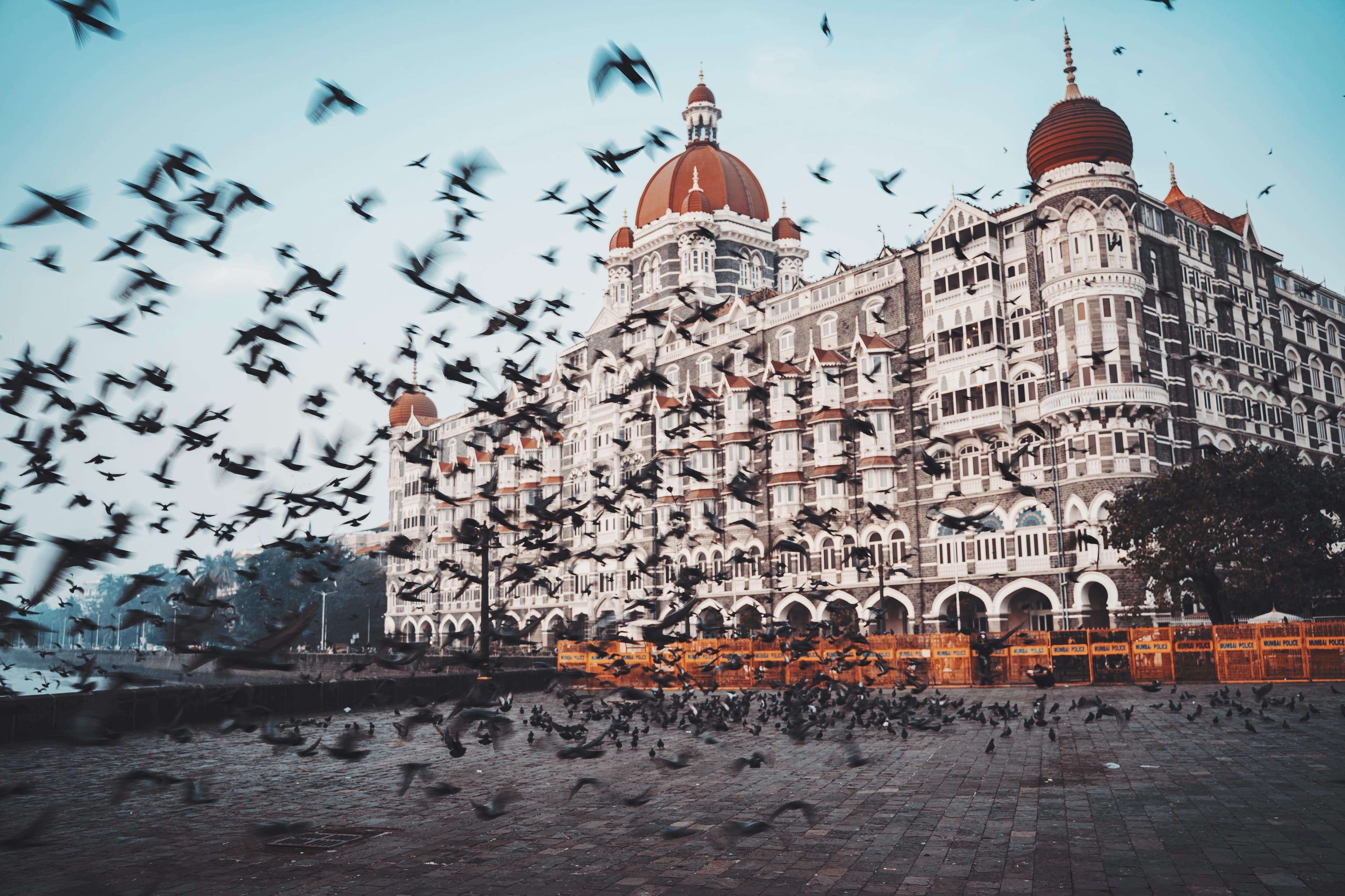 Mumbai — photo 100
