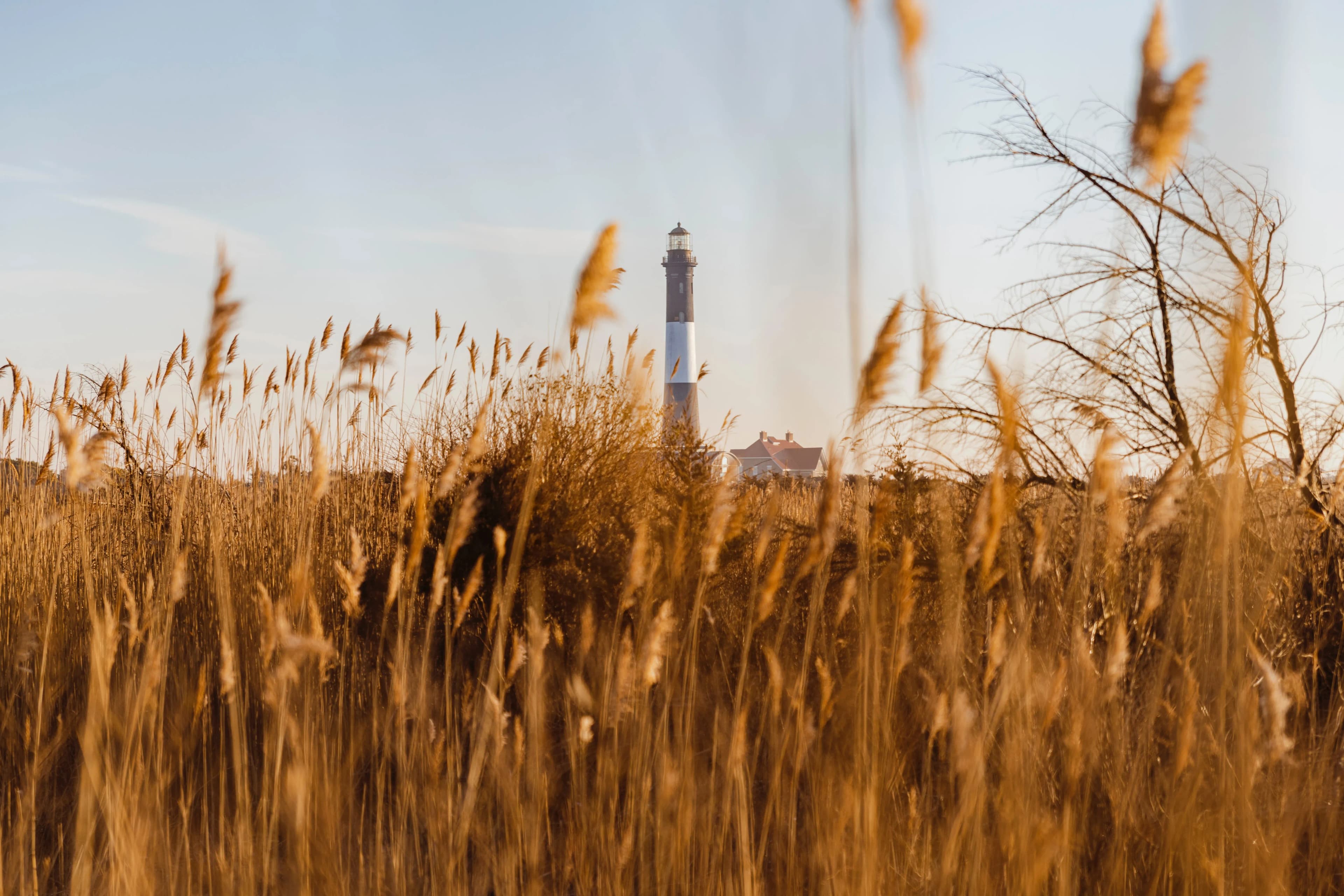 Fire Island