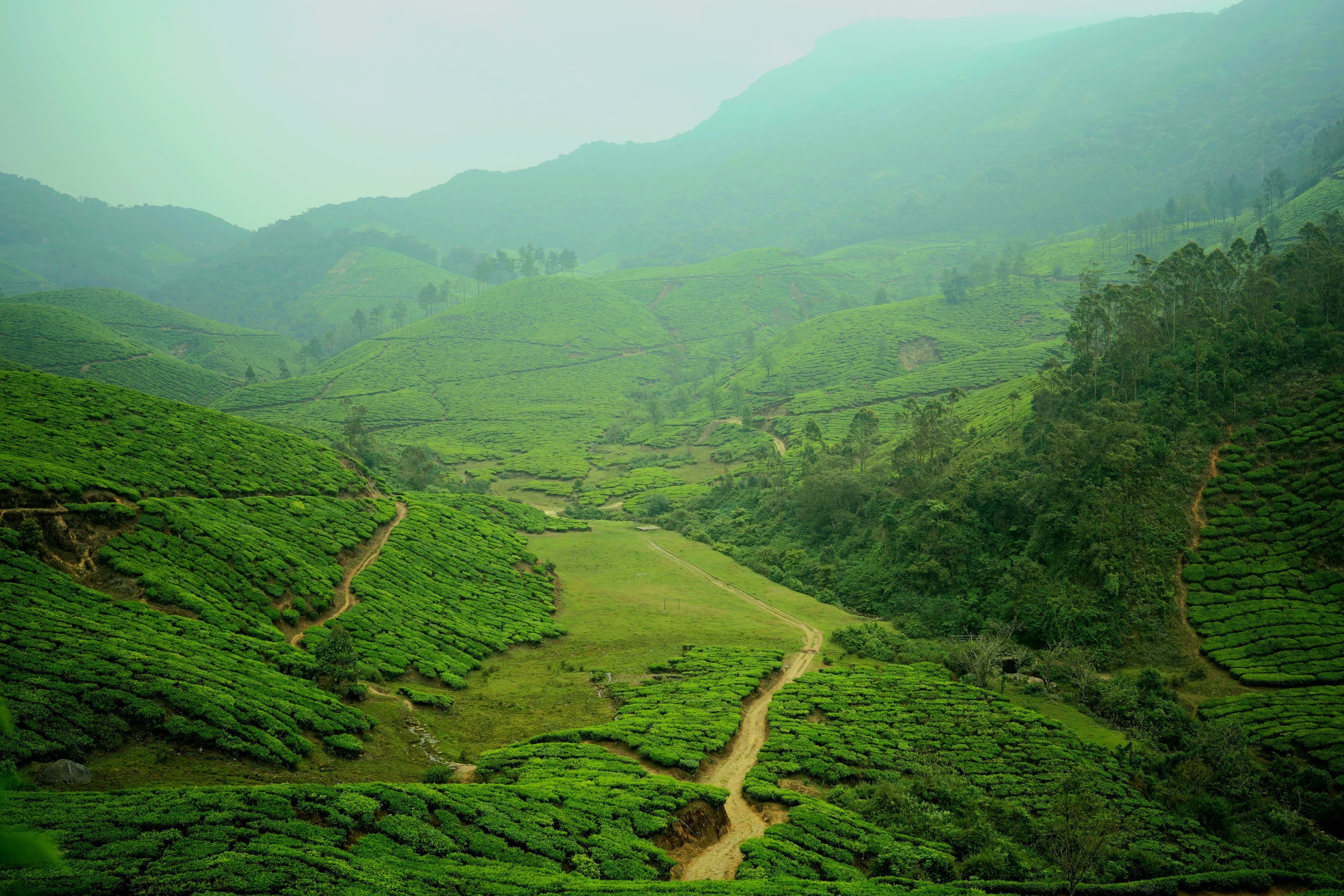 Munnar — photo 2