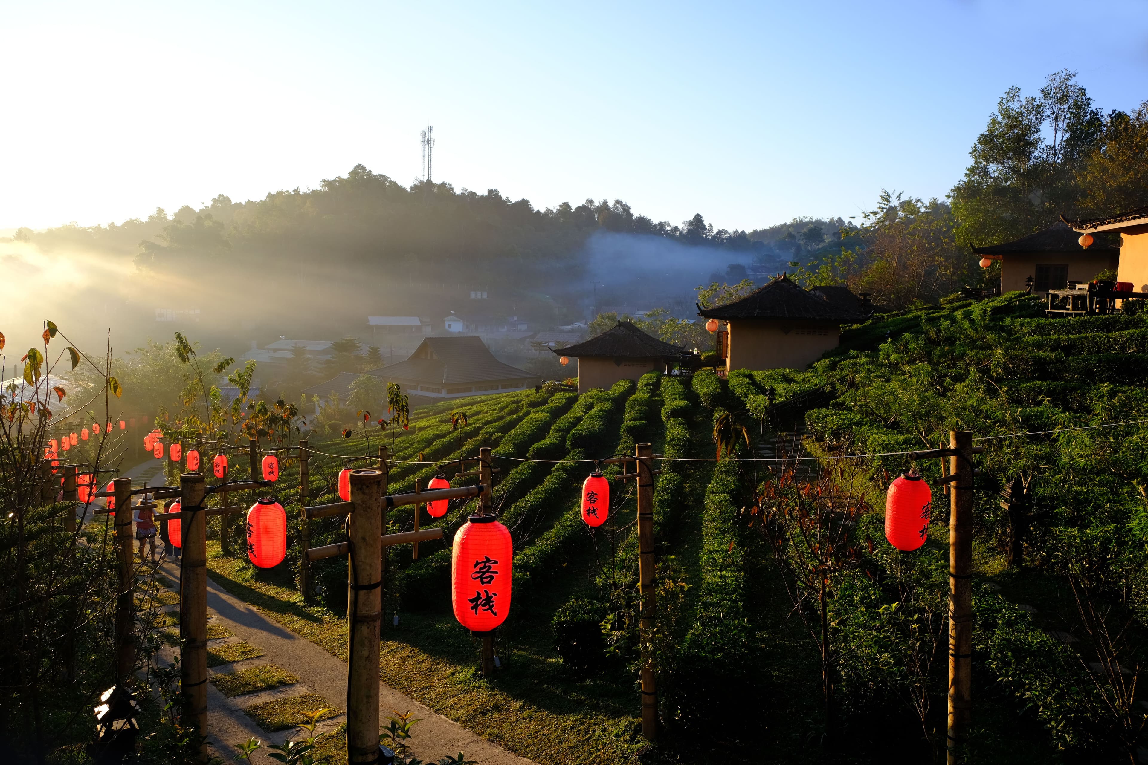 Chiang Rai