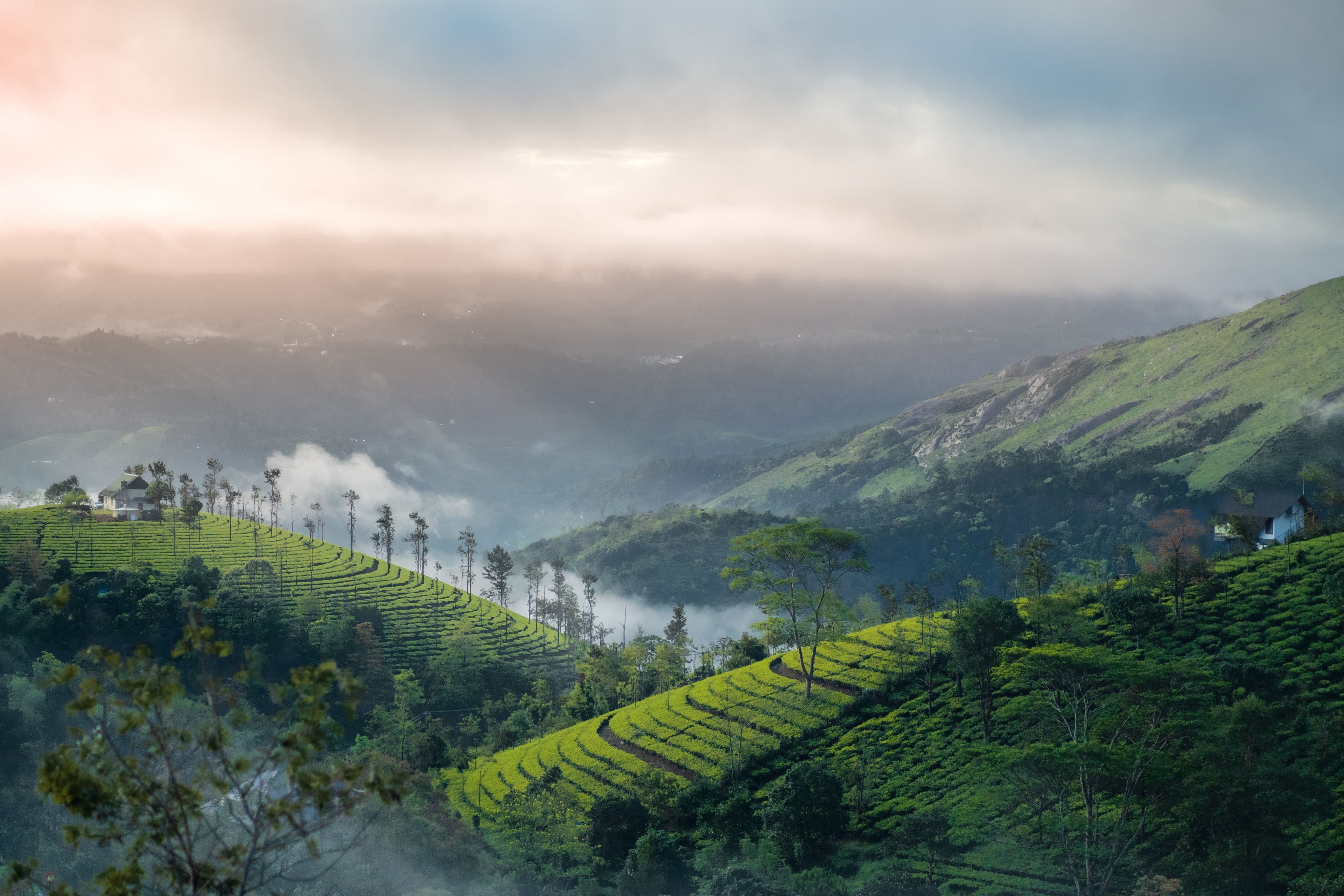 The best photography spots in Munnar