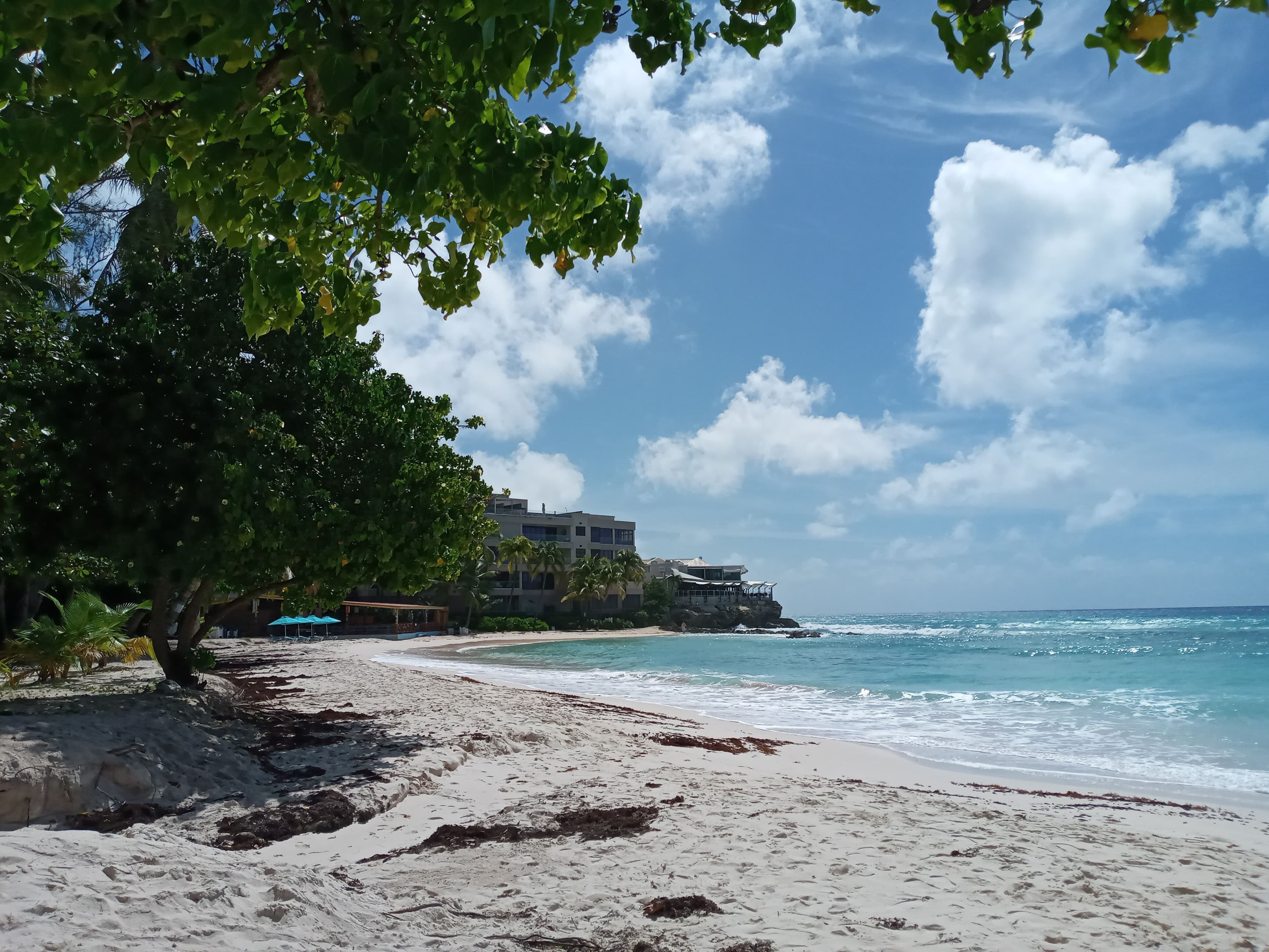 Sandy Lane