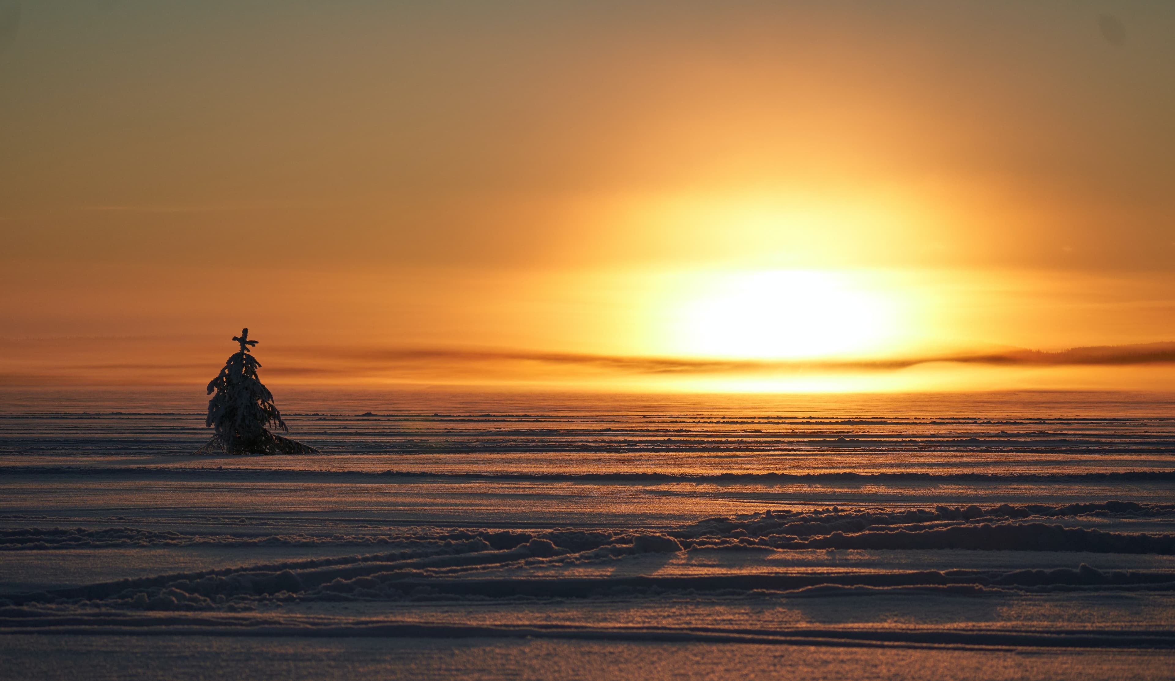 Arctic Bath