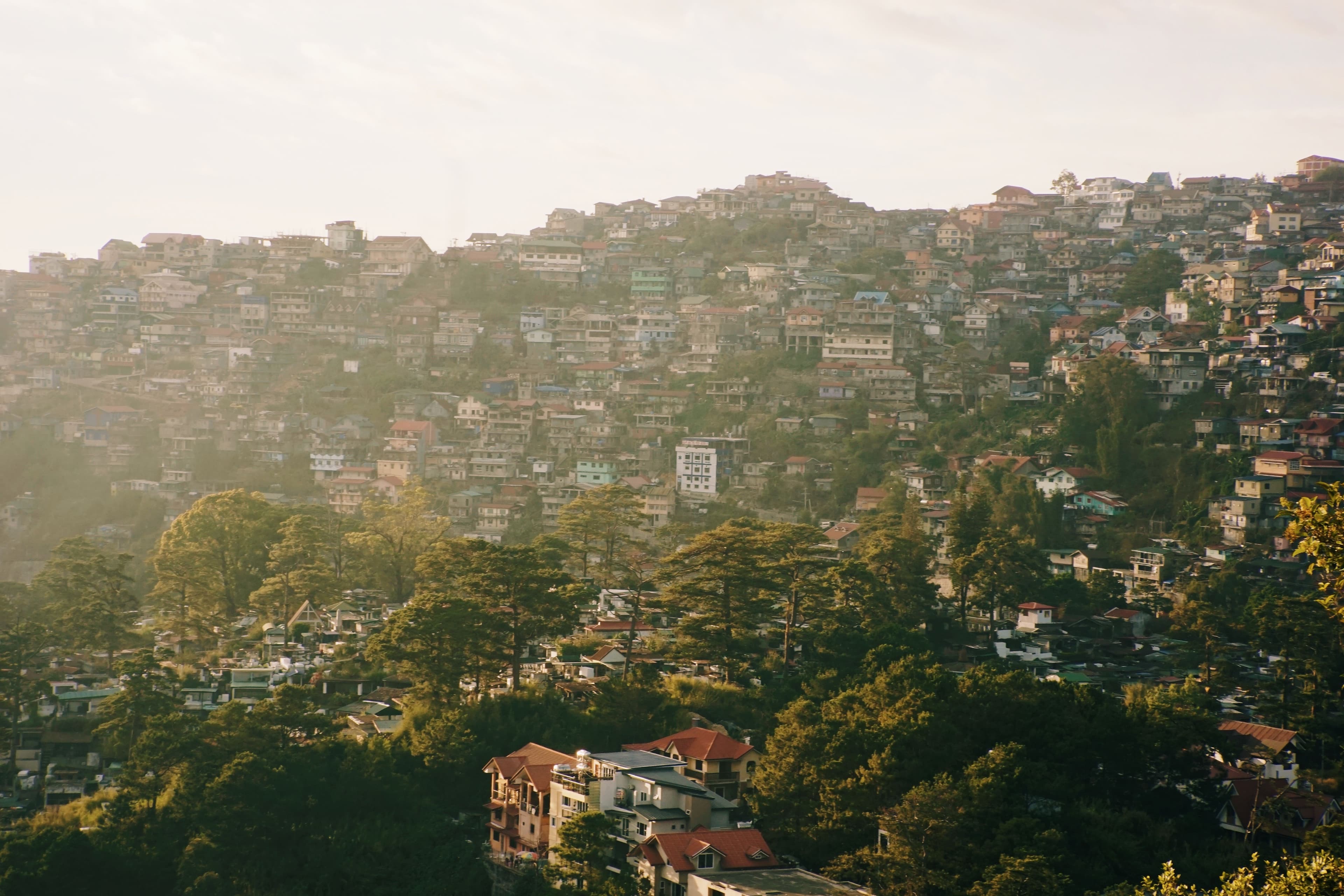 Shimla — photo 100