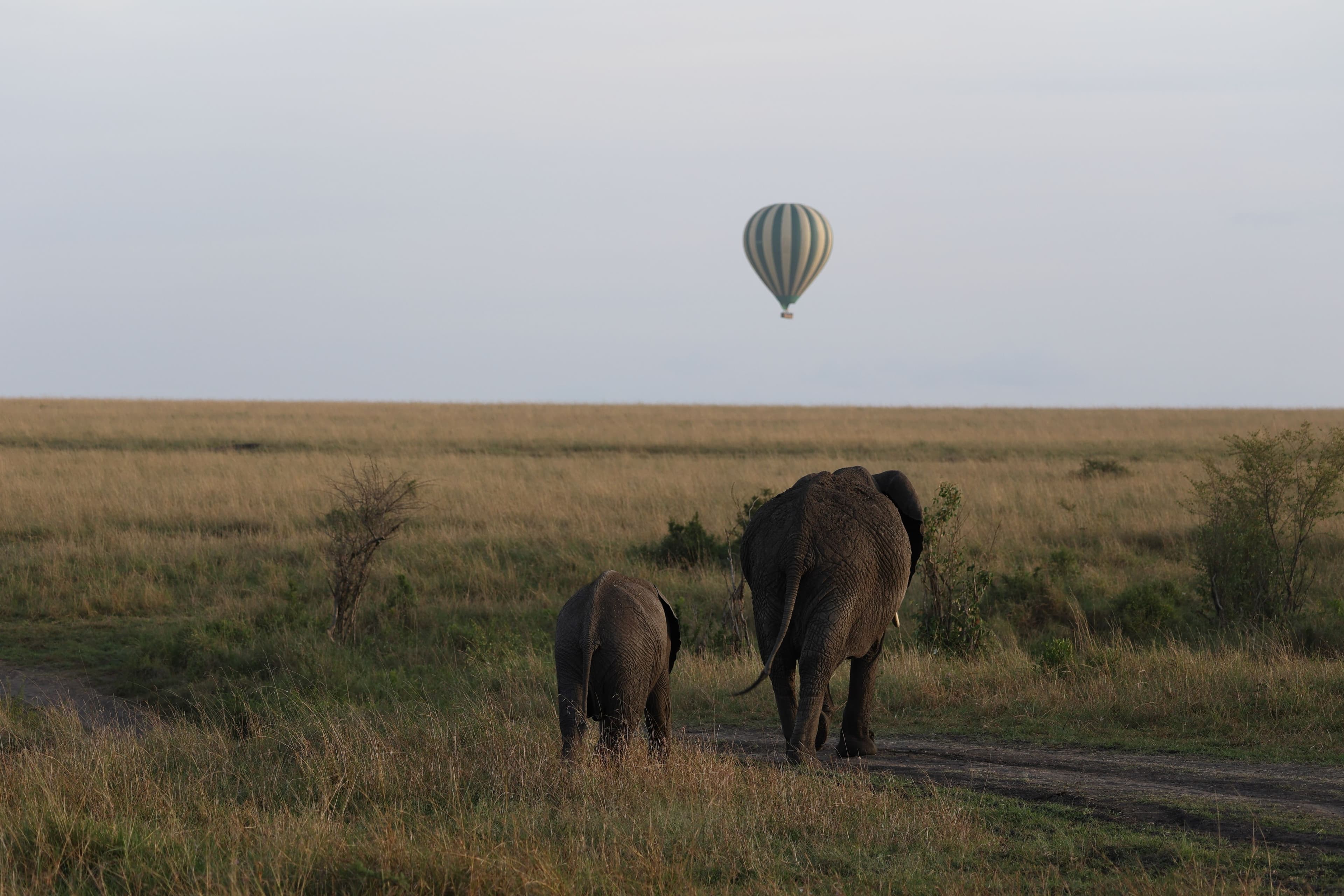 Wilderness Shumba Camp 4