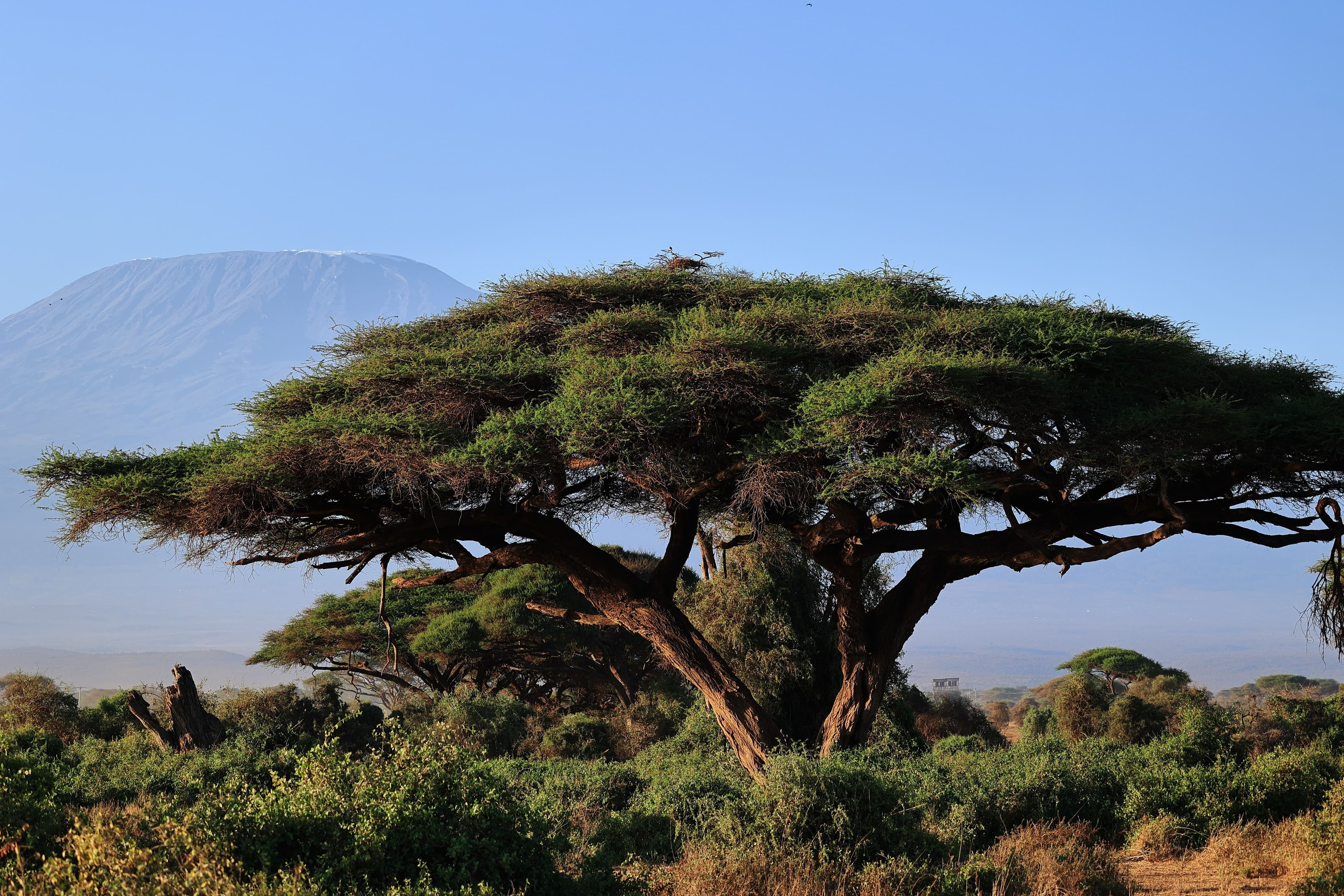 Arusha — photo 100