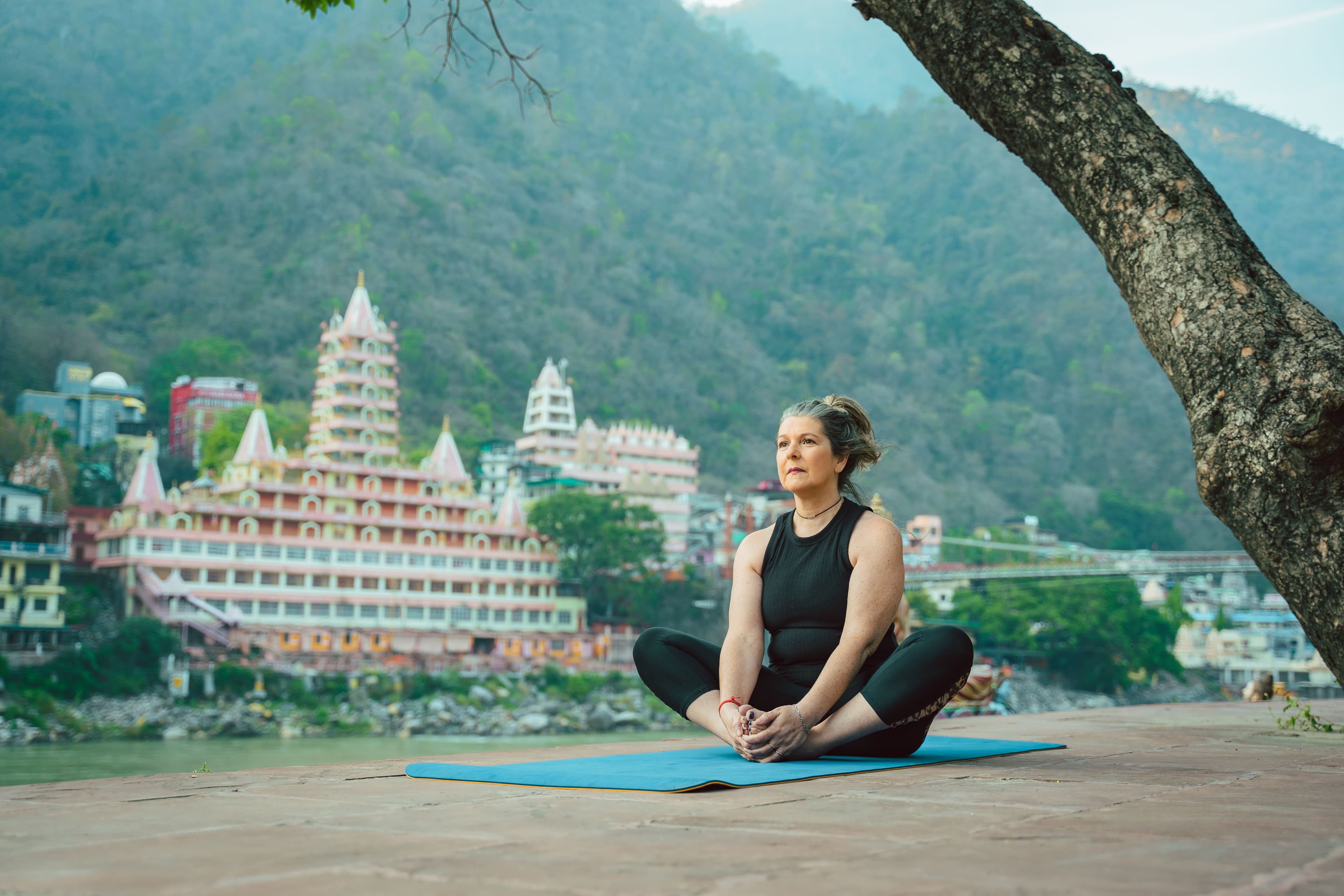 Ananda in the Himalayas 3