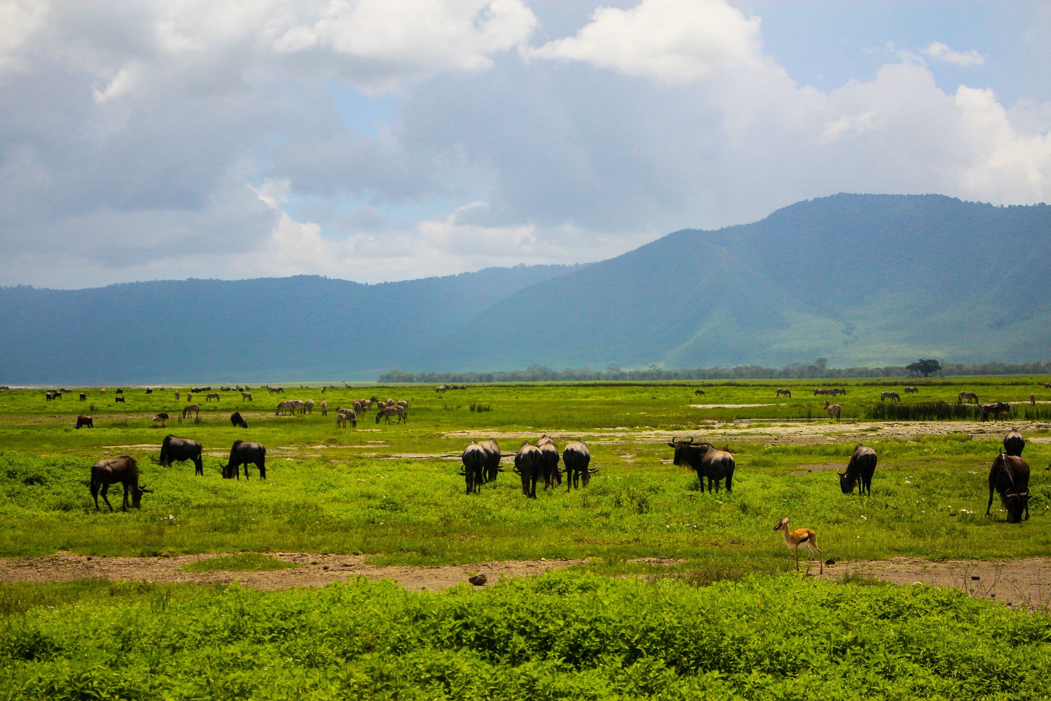 Tarangire National Park