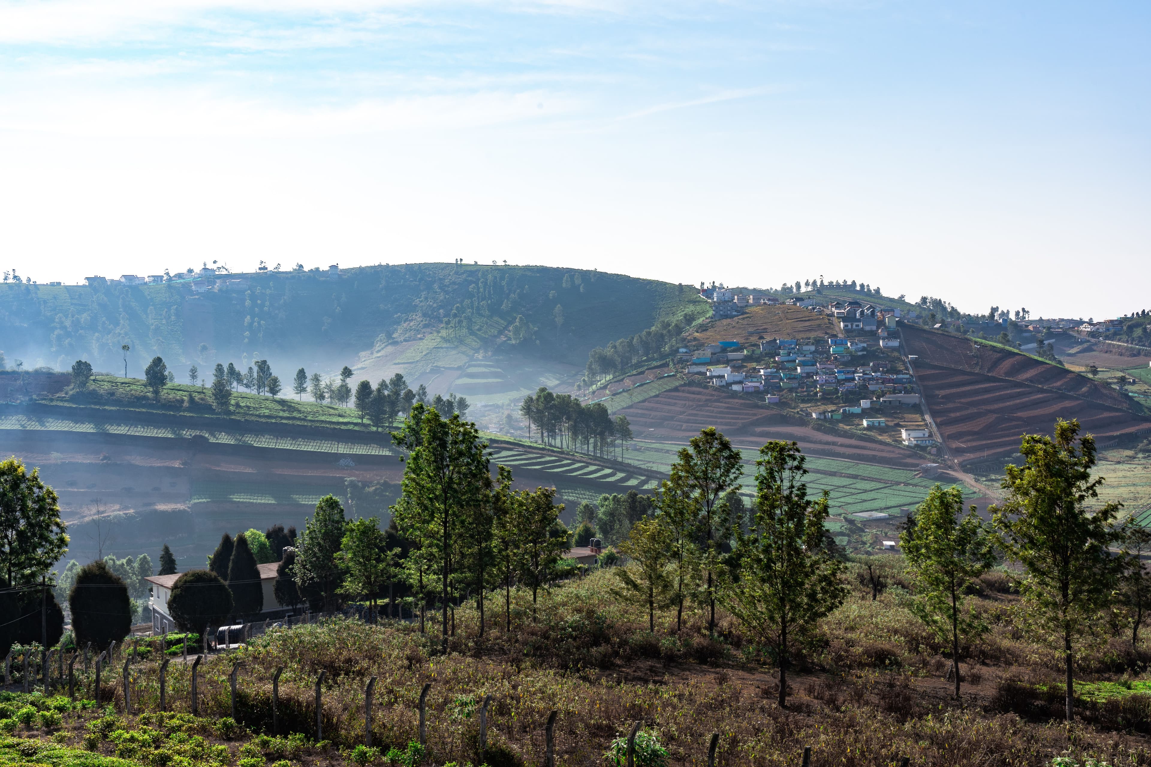 Ooty Lake